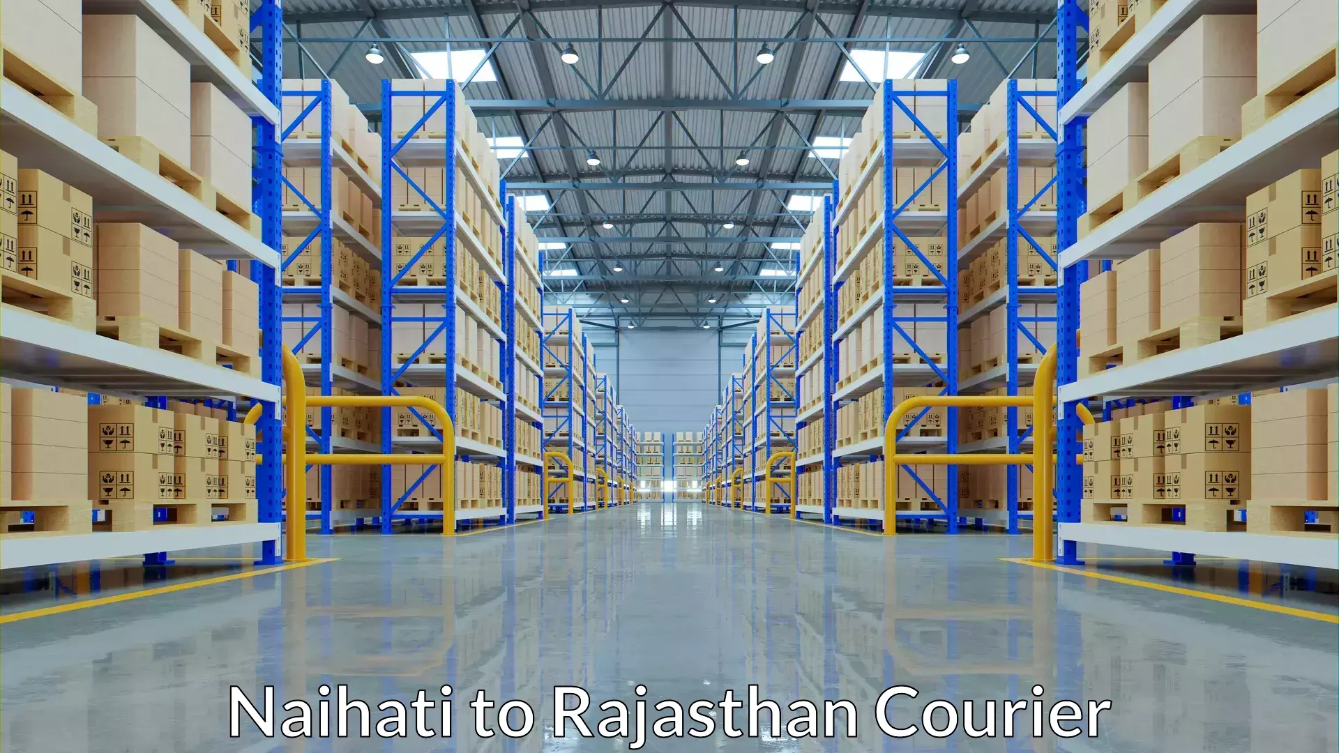 Optimized courier strategies Naihati to Pratapgarh Rajasthan