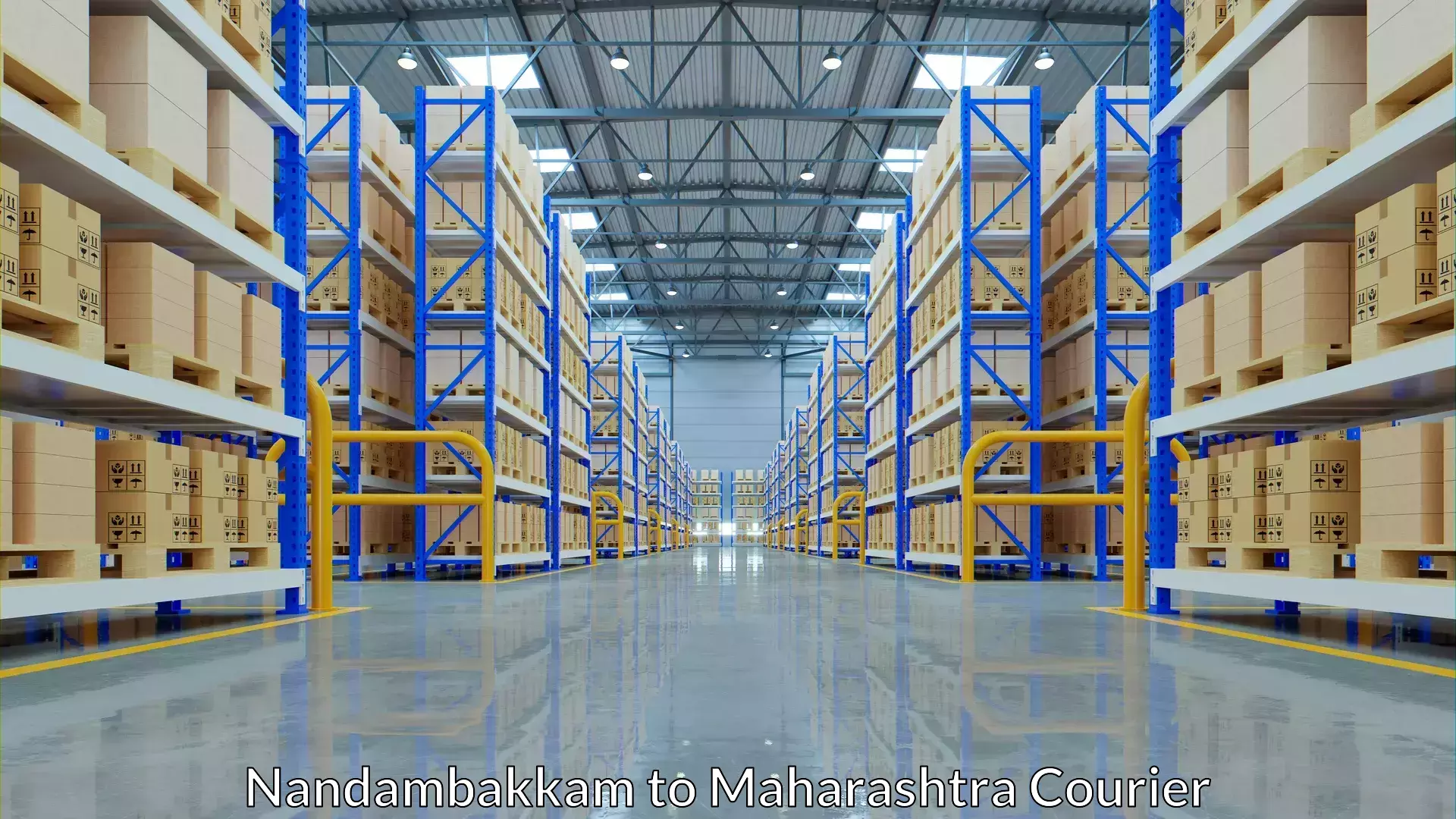 Multi-package shipping Nandambakkam to Maharashtra