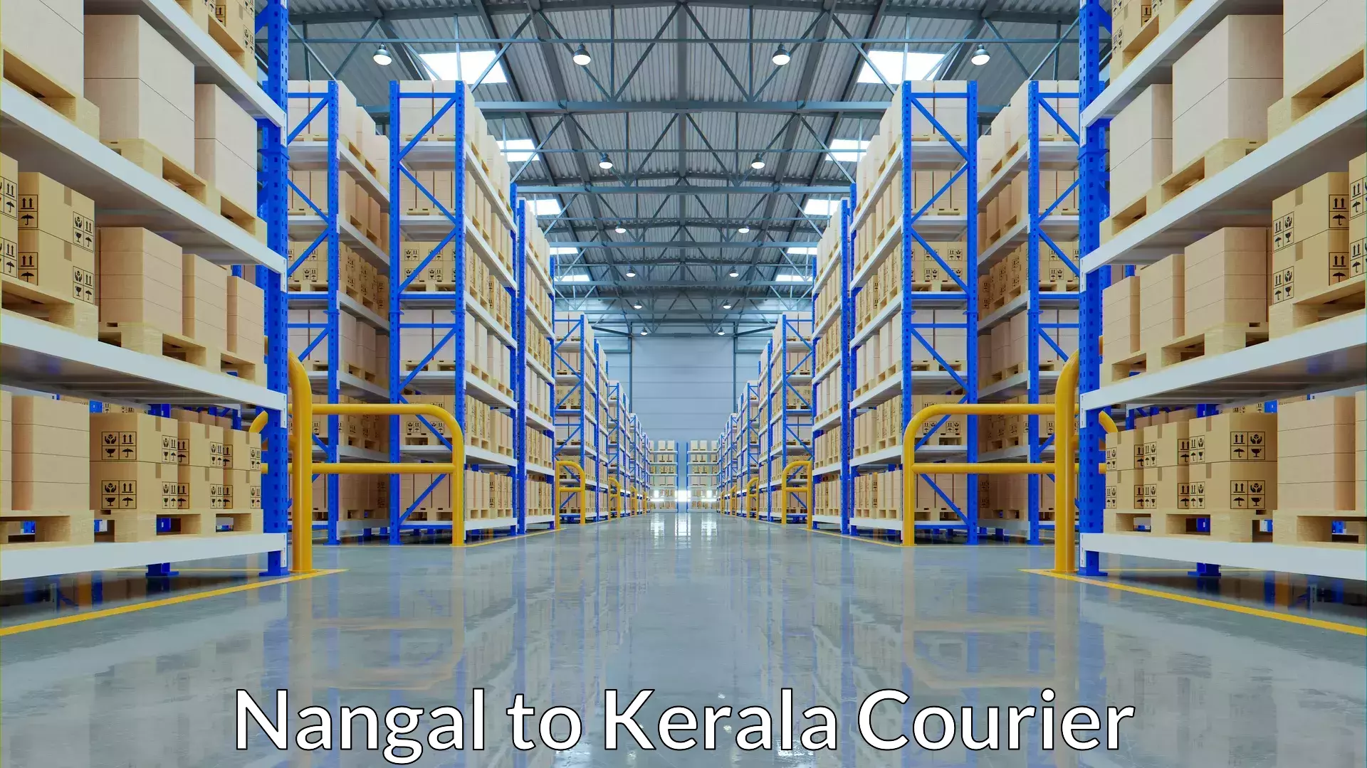 Flexible shipping options Nangal to Taliparamba