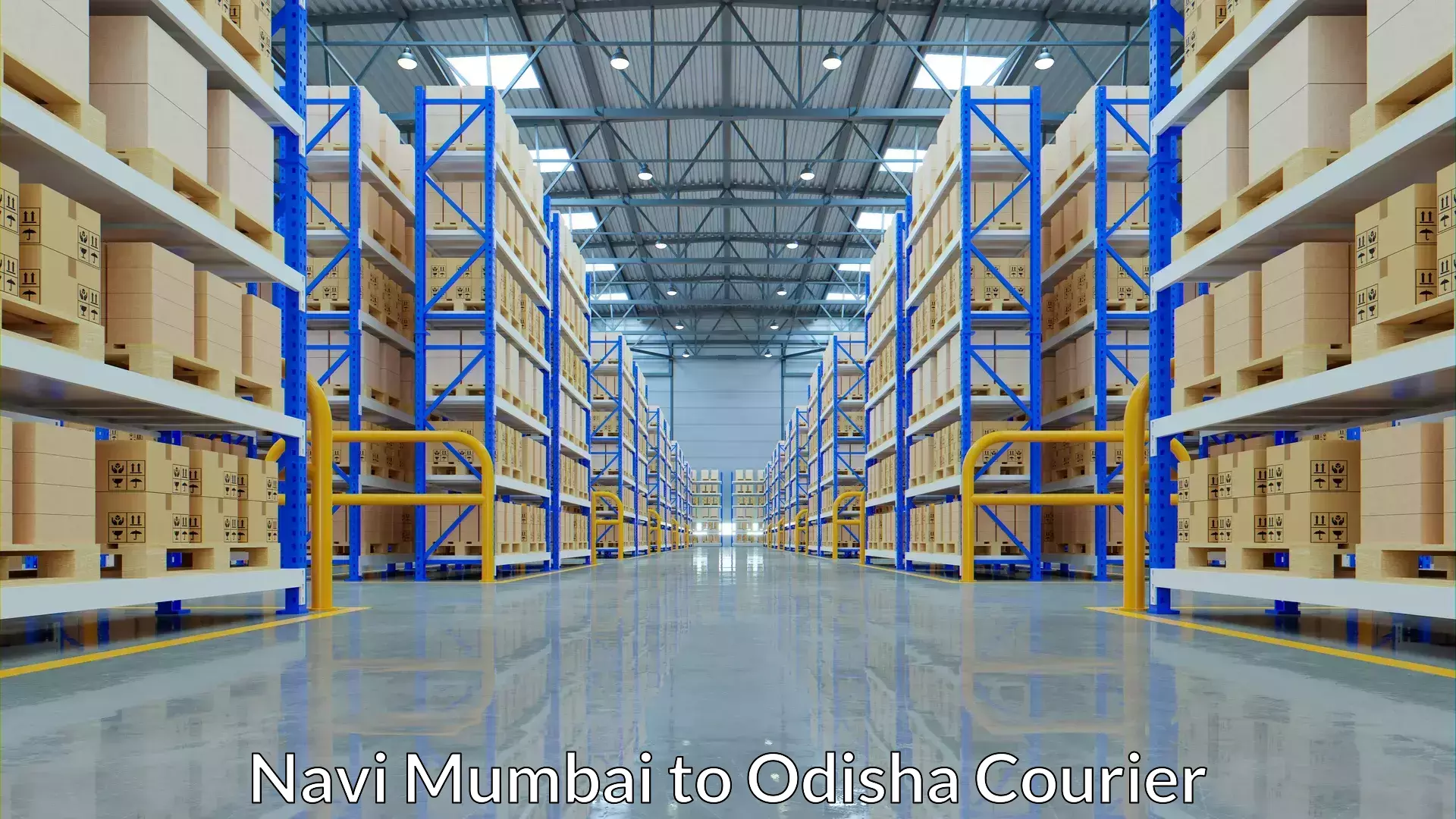 Efficient parcel tracking Navi Mumbai to Tihidi