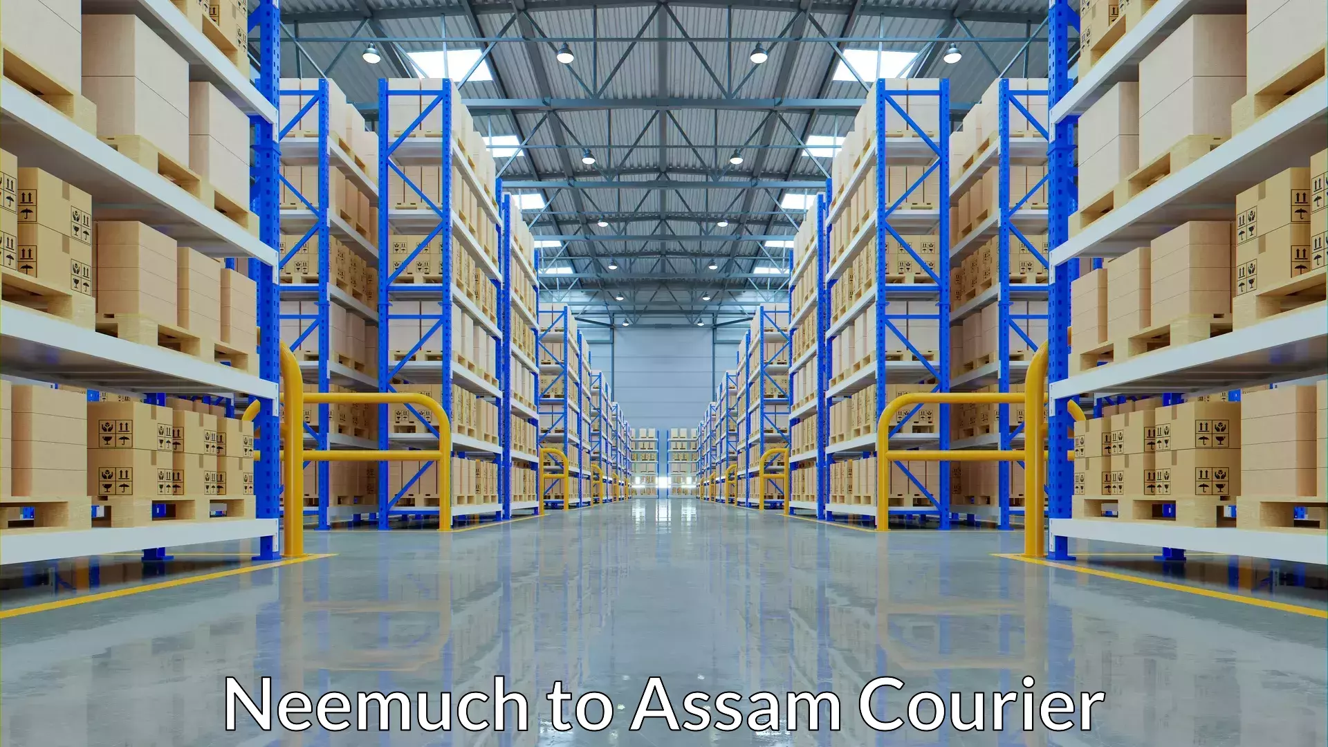 Simplified shipping solutions Neemuch to Kokrajhar