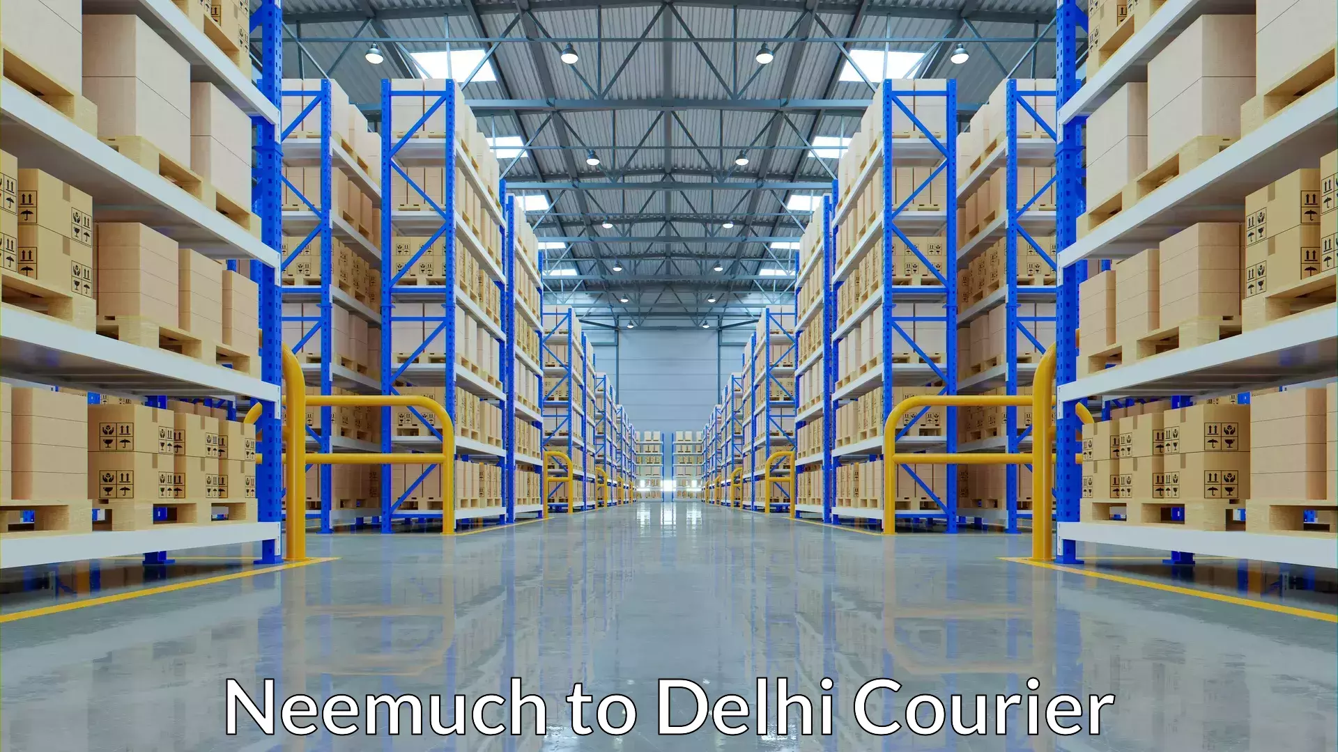 Versatile courier options Neemuch to Delhi