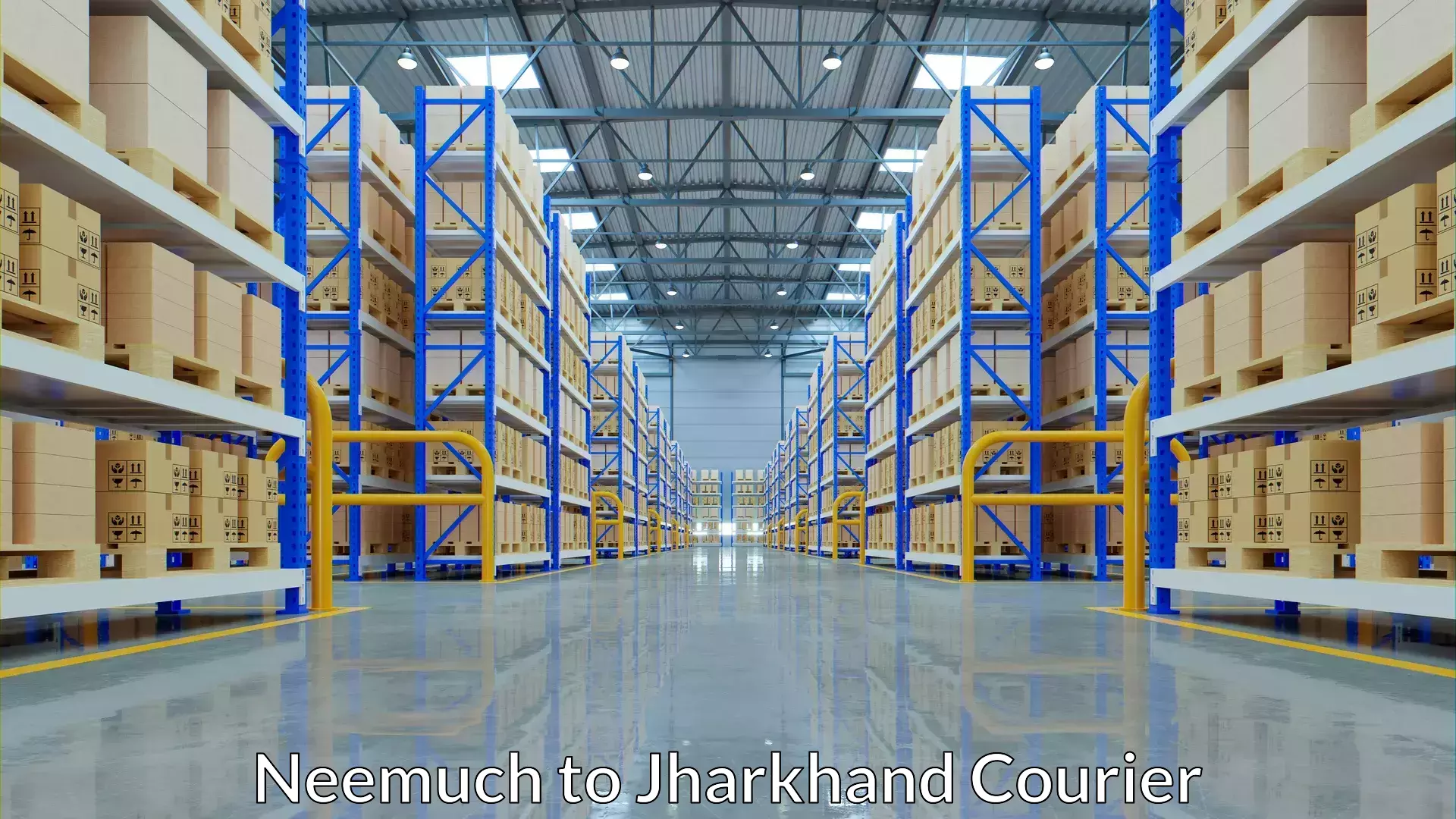 Retail shipping solutions Neemuch to Mahagama