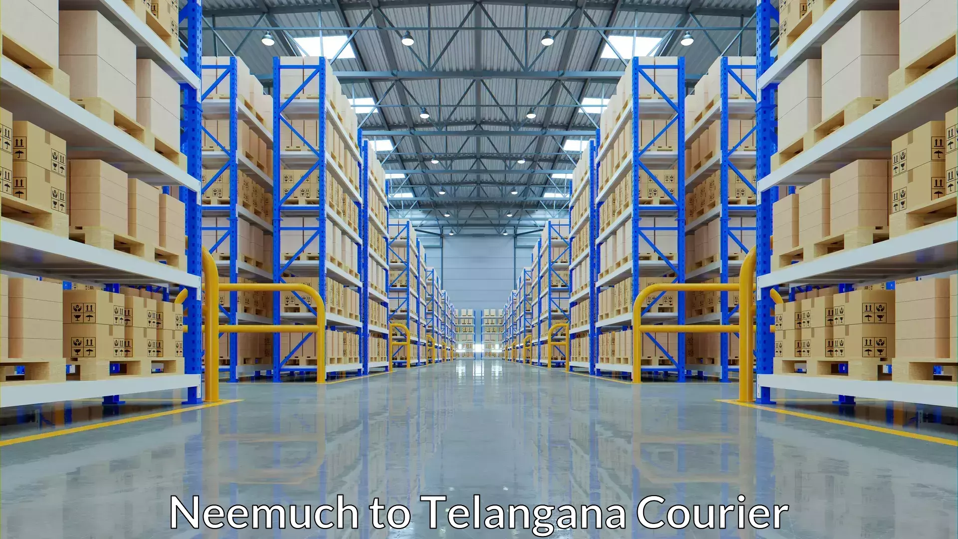 Effective logistics strategies Neemuch to Peddapalli