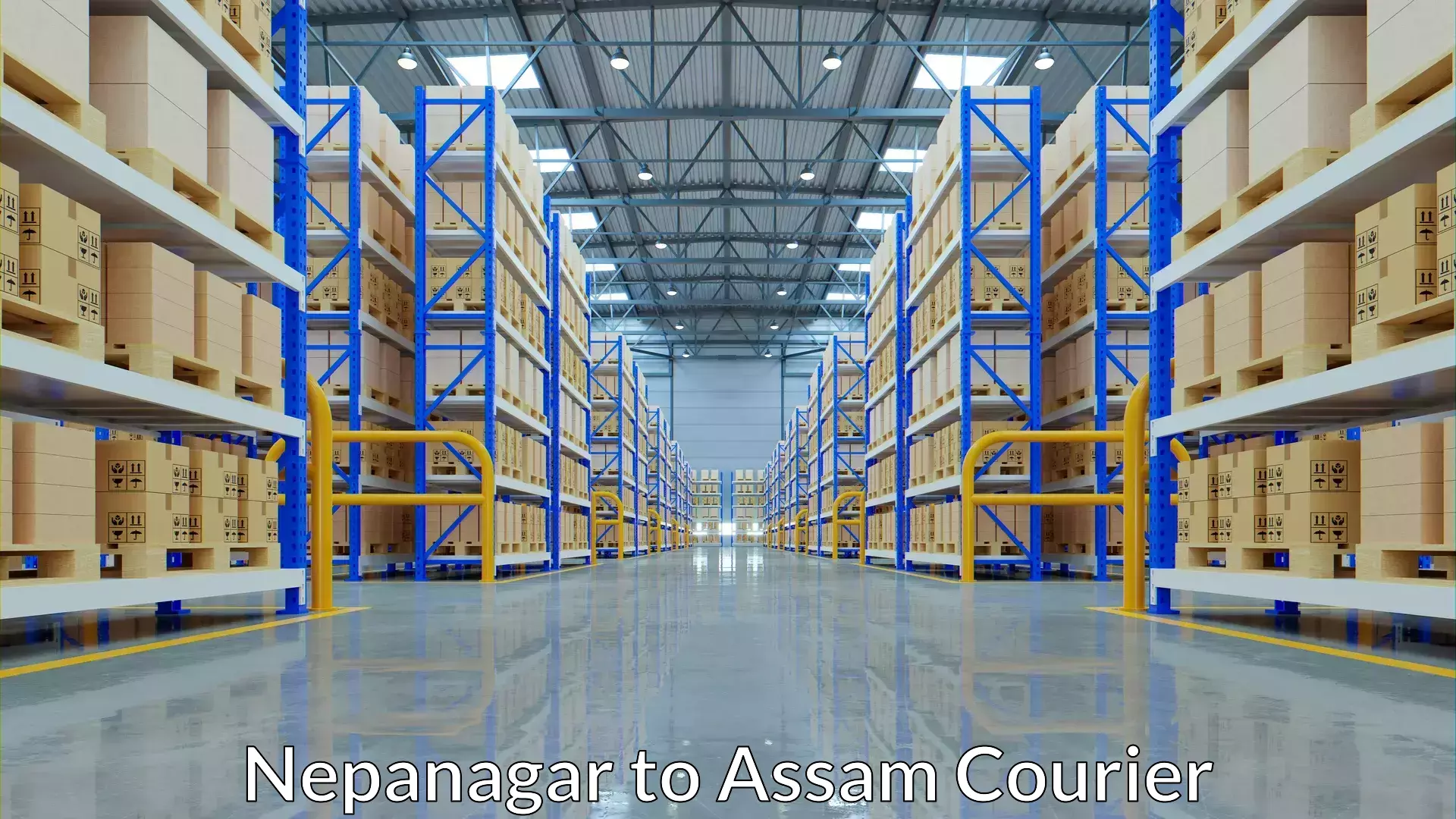 Easy access courier services in Nepanagar to Titabor