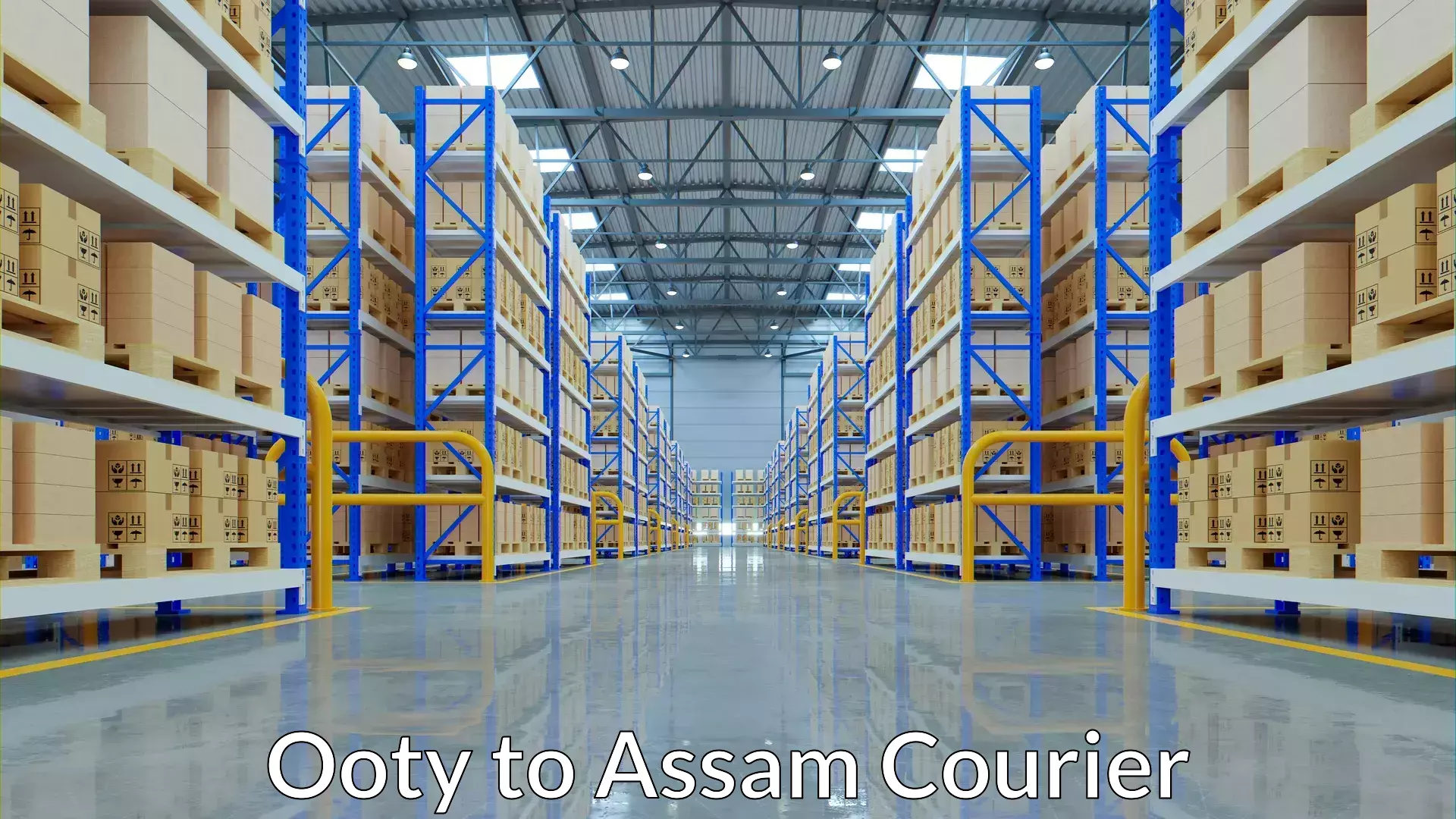 High-capacity shipping options Ooty to Agomani