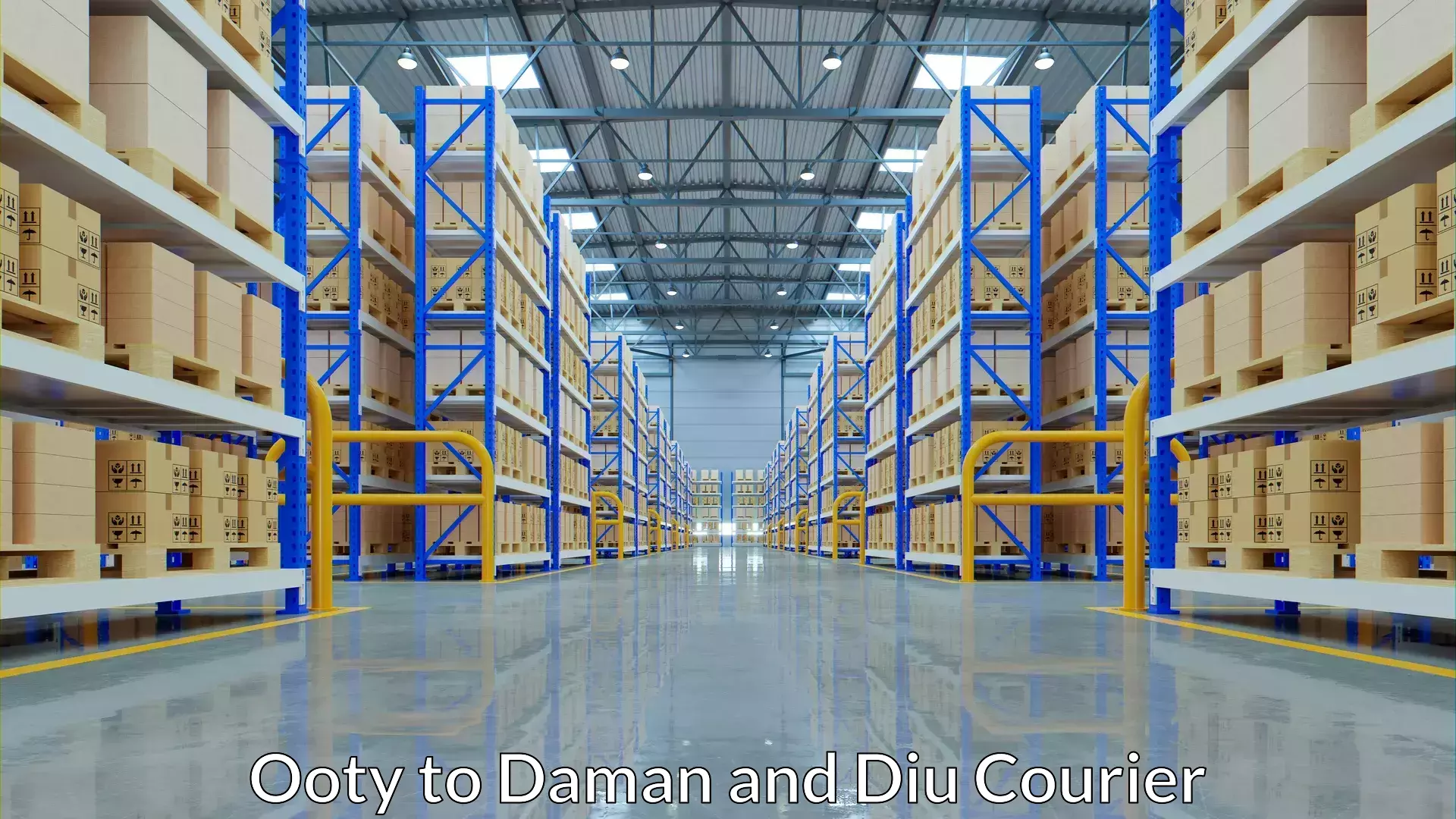 Flexible parcel services Ooty to Daman and Diu