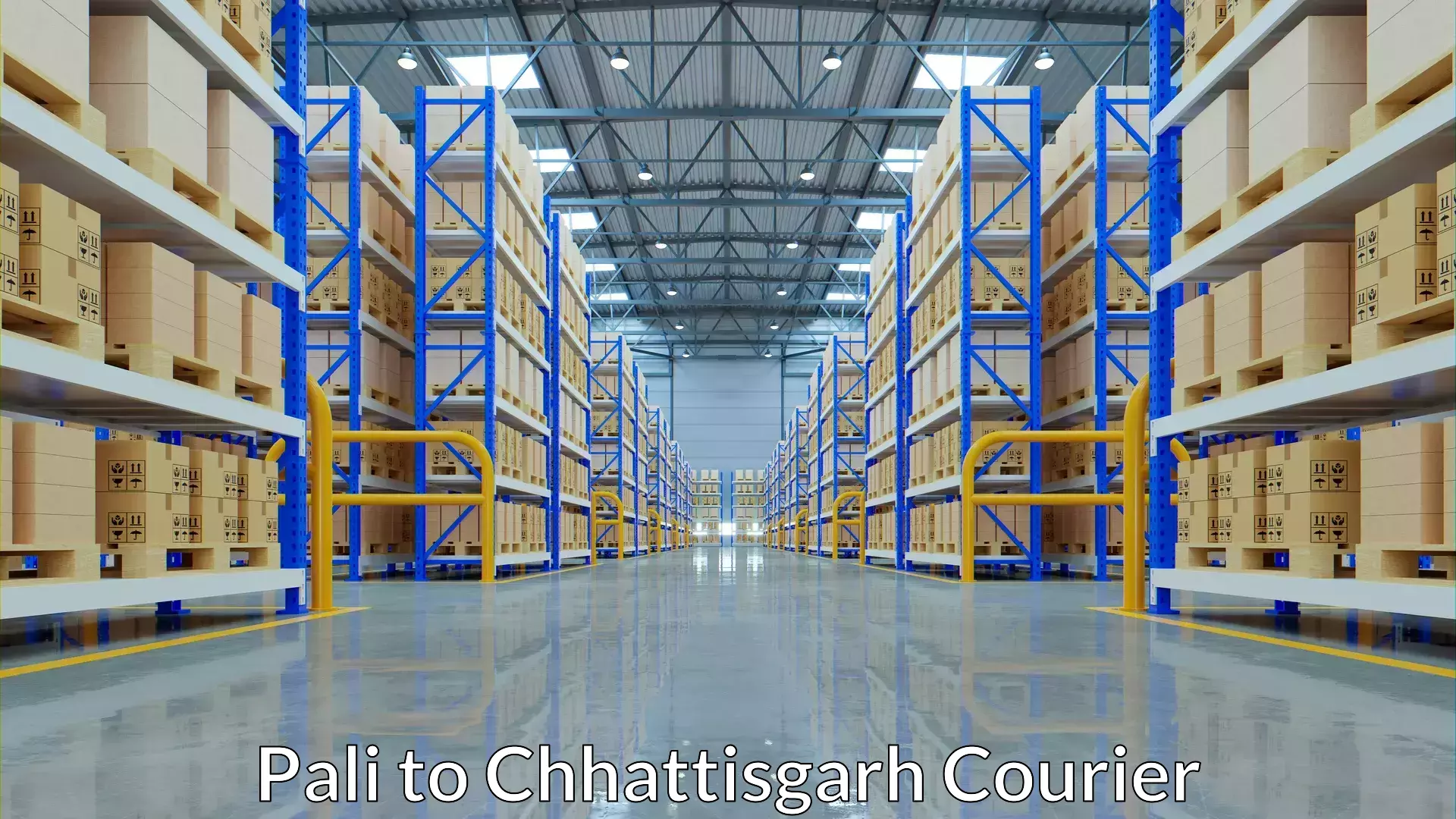 Multi-service courier options Pali to IIT Bhilai