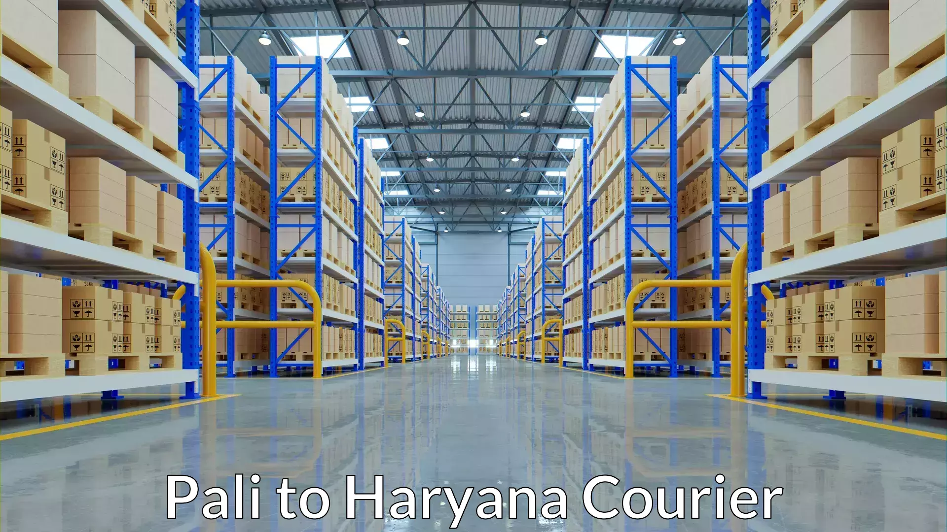 Wholesale parcel delivery Pali to Haryana