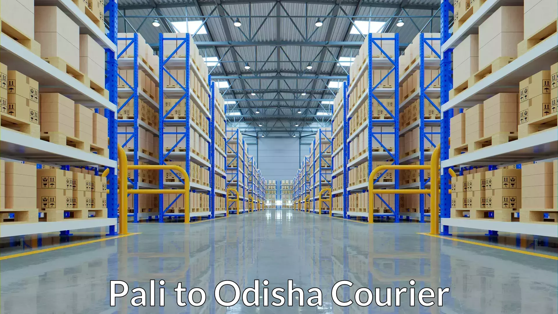 Parcel delivery in Pali to Odisha