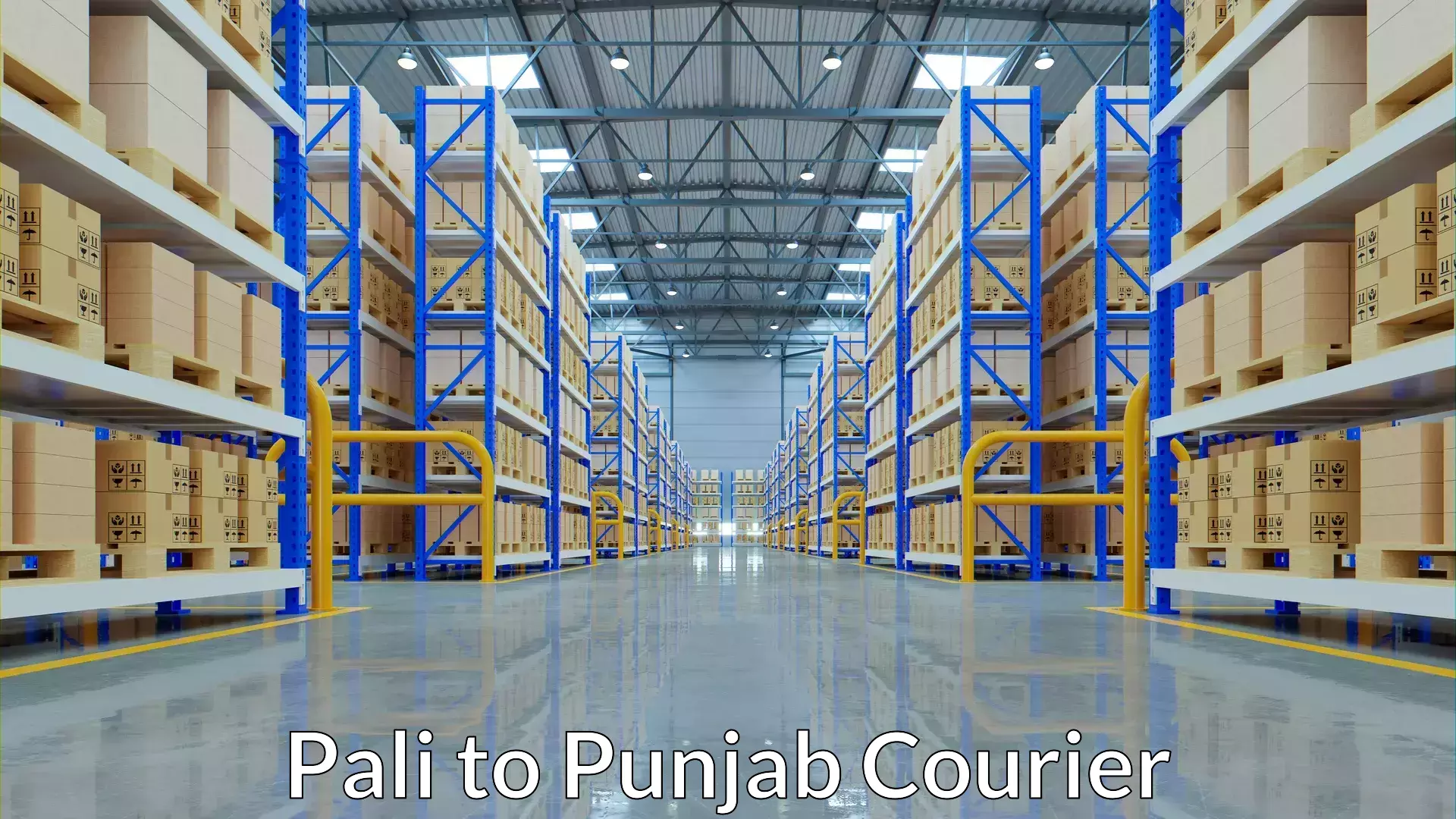 Express courier capabilities Pali to Tarn Taran Sahib