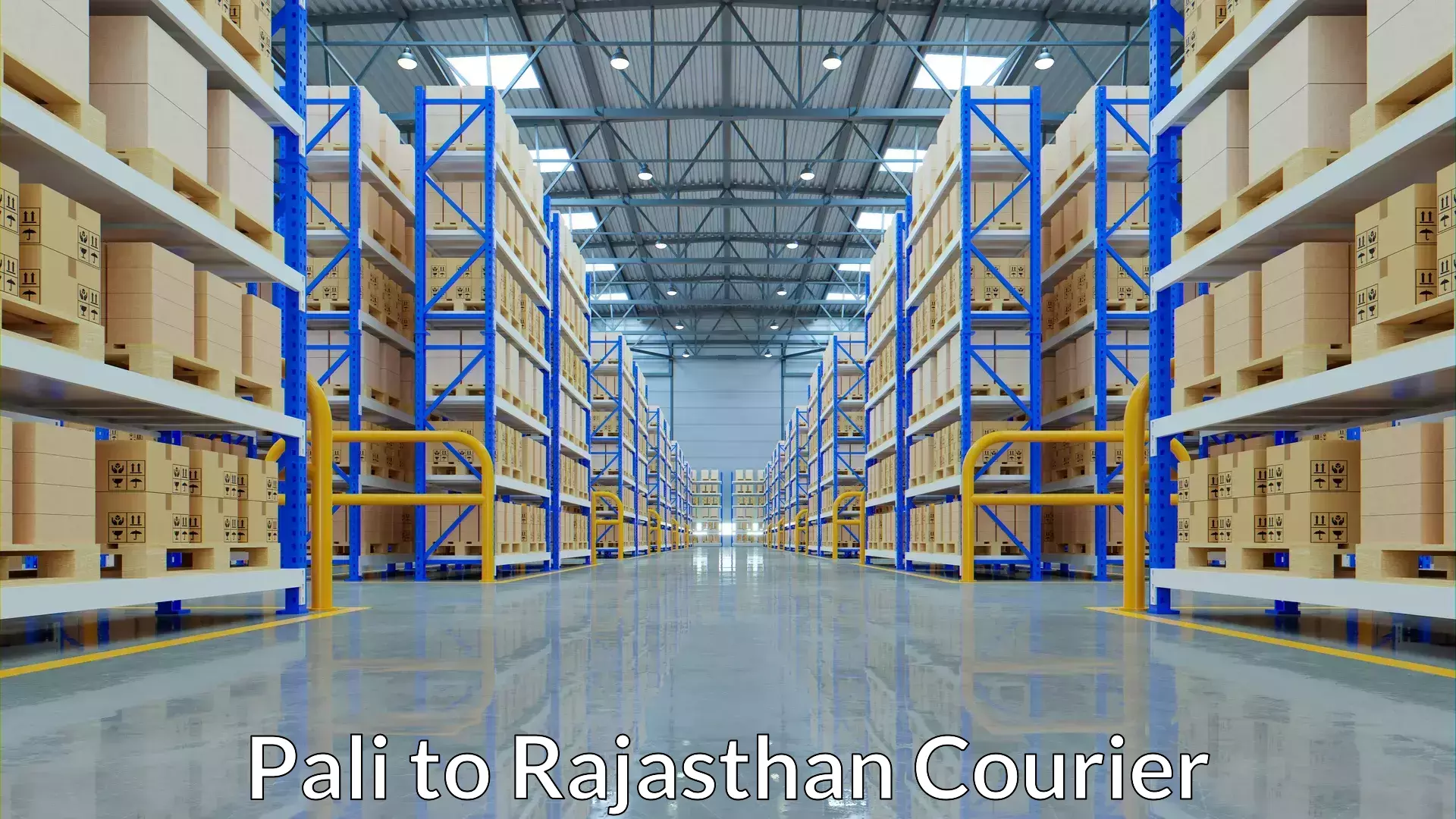 Cargo courier service Pali to Ajeetgarh