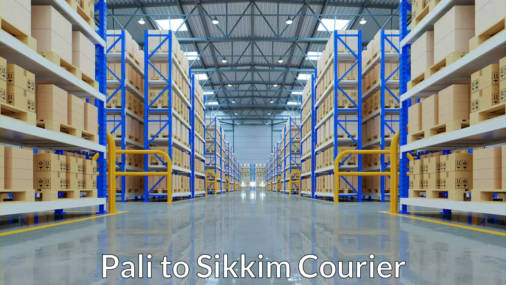 Expedited shipping solutions Pali to West Sikkim