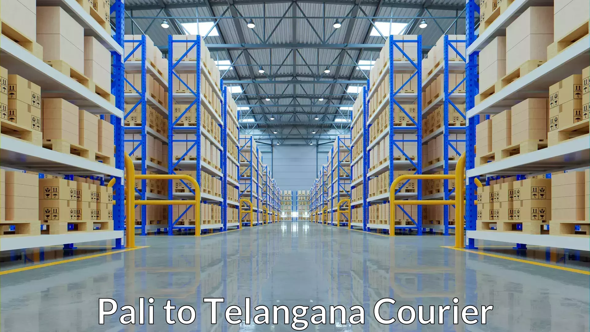 Comprehensive logistics Pali to Mahabub Nagar