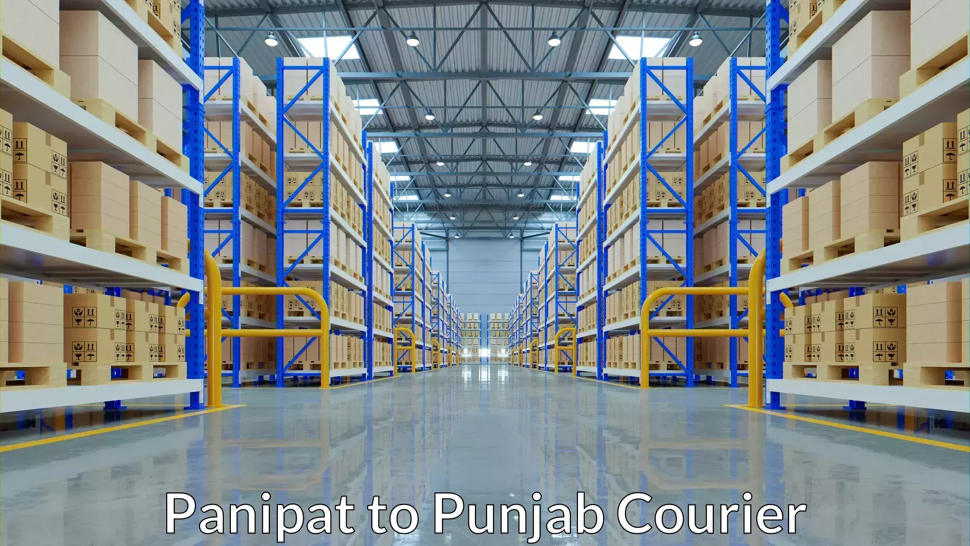 International courier rates Panipat to Pathankot