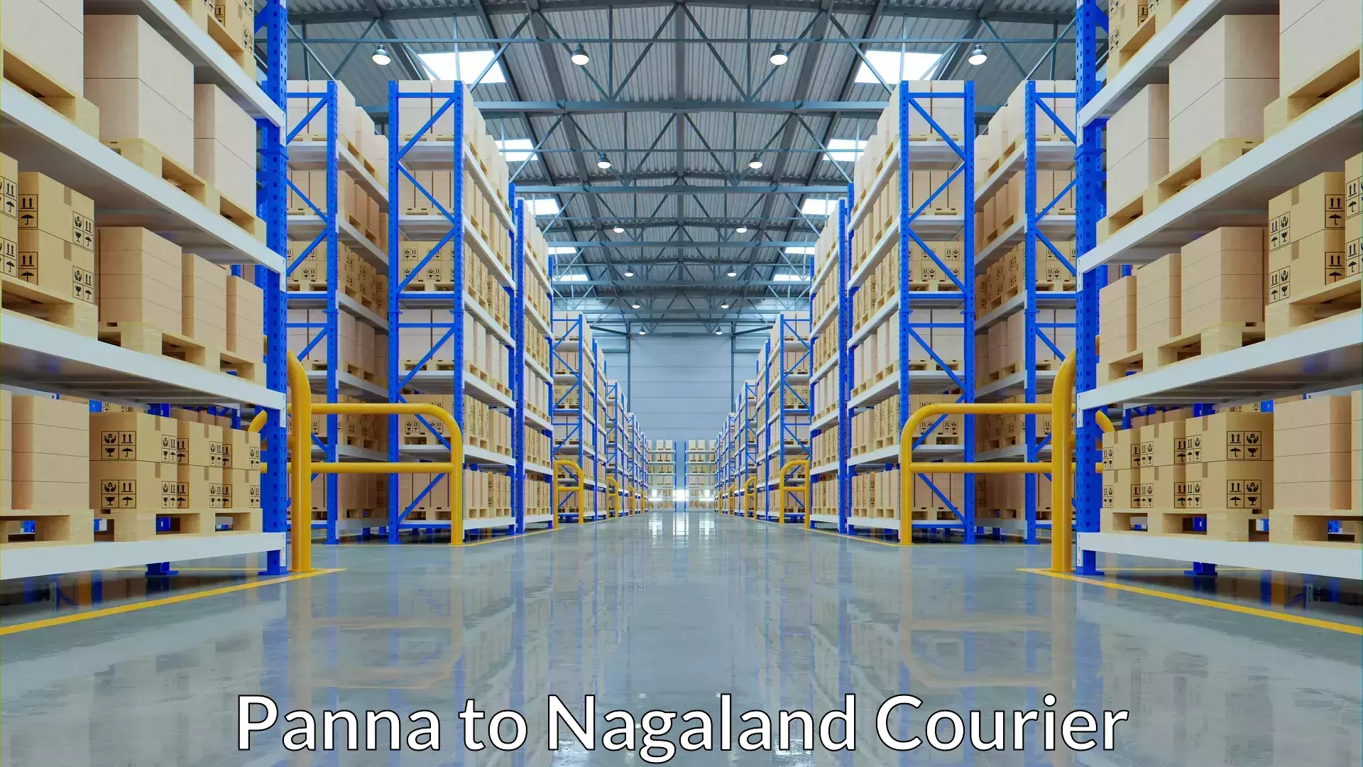 Multi-service courier options Panna to Nagaland