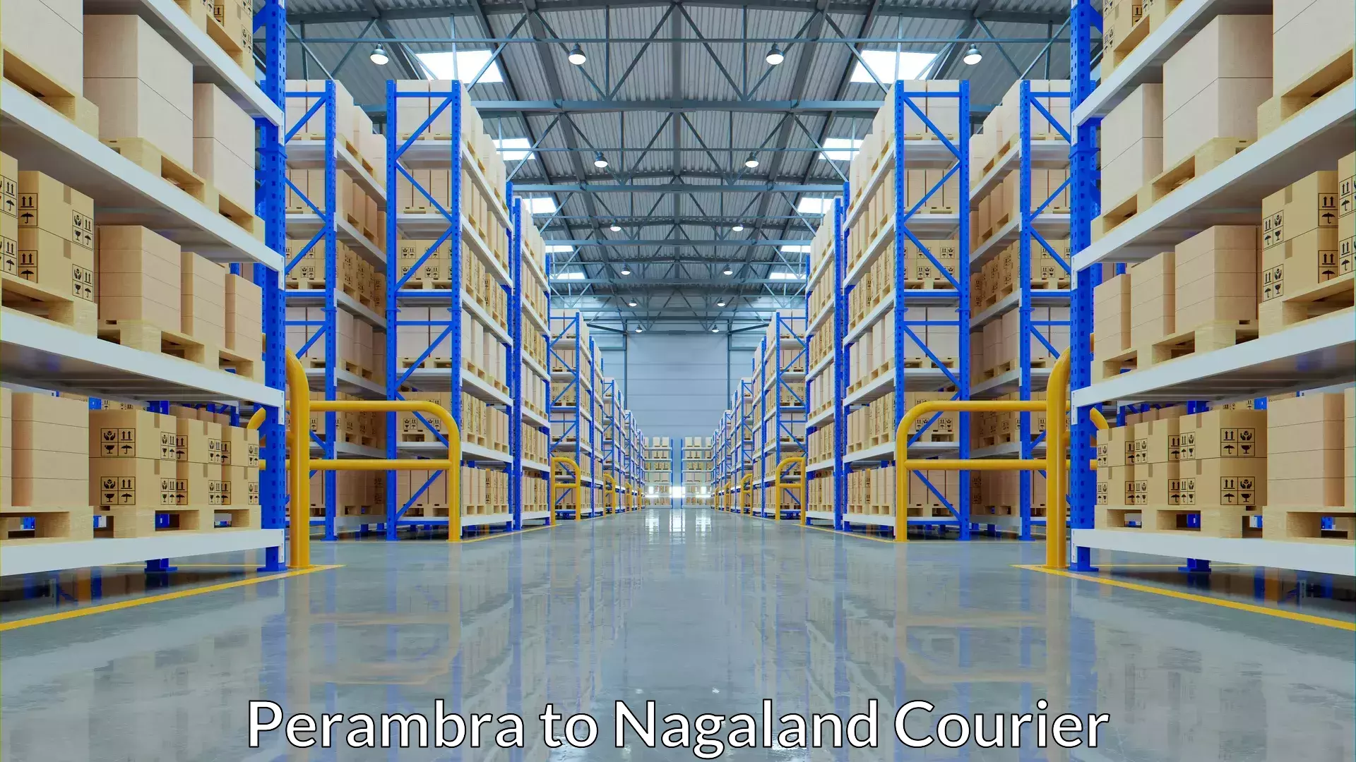 Advanced delivery solutions in Perambra to Nagaland