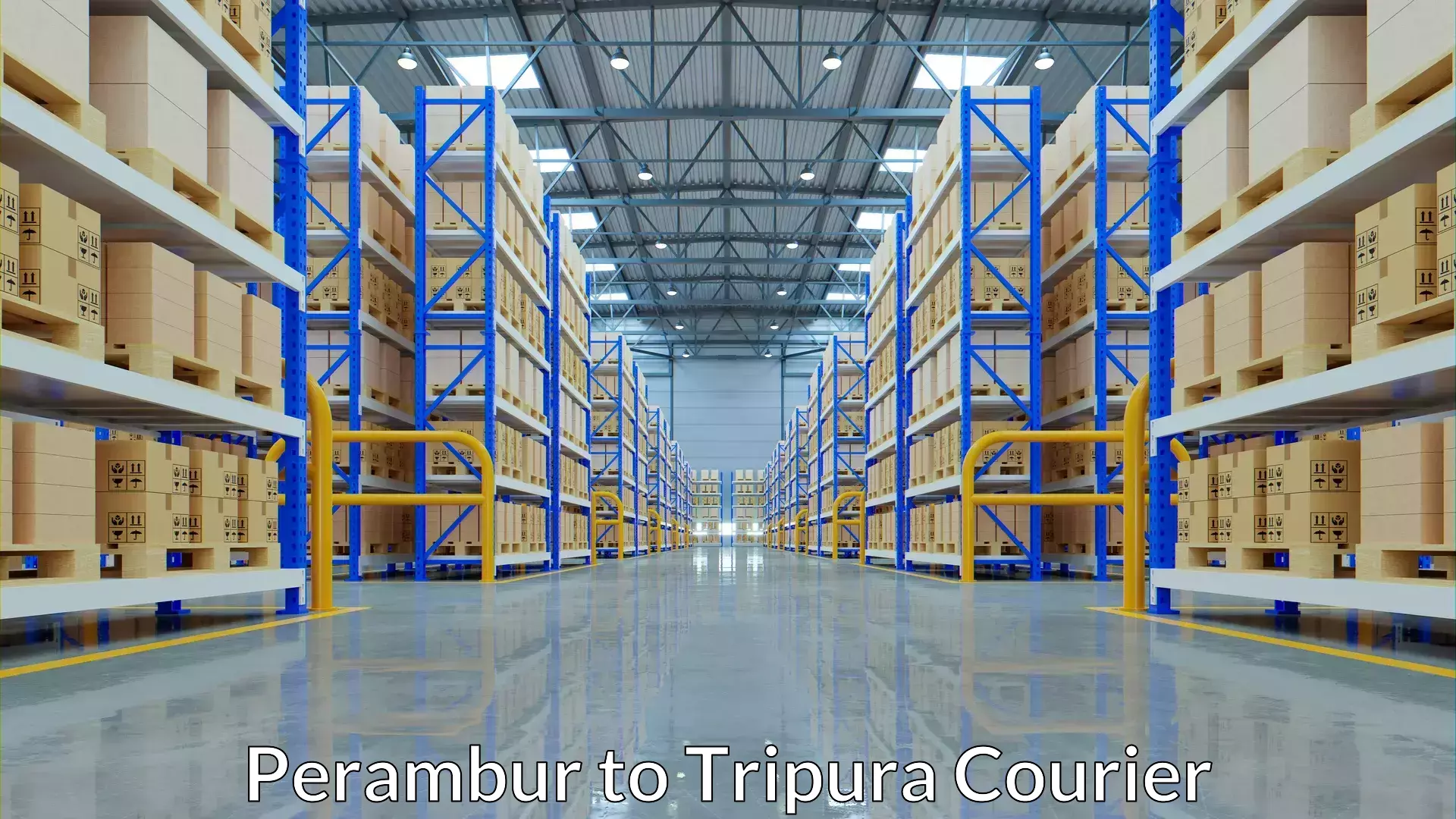 Specialized shipment handling in Perambur to Tripura