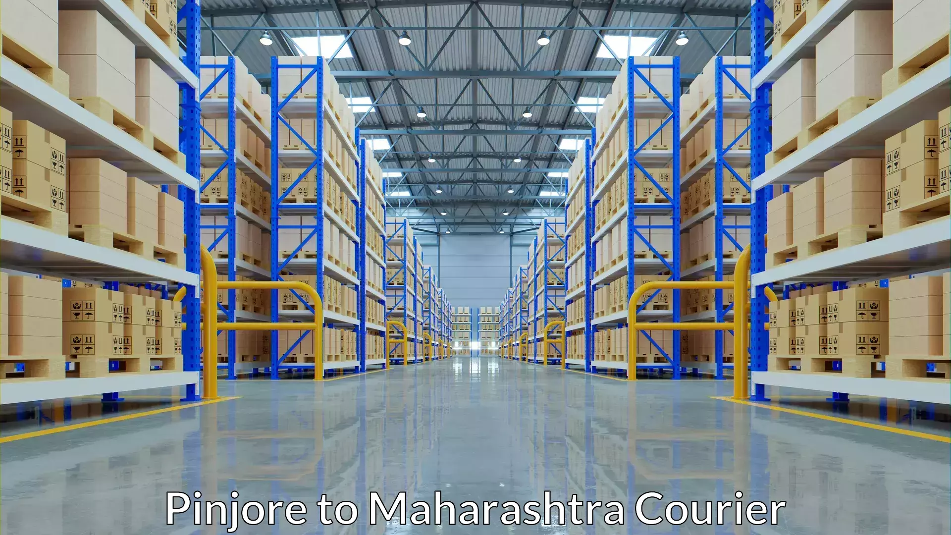 Express delivery network in Pinjore to Muktainagar