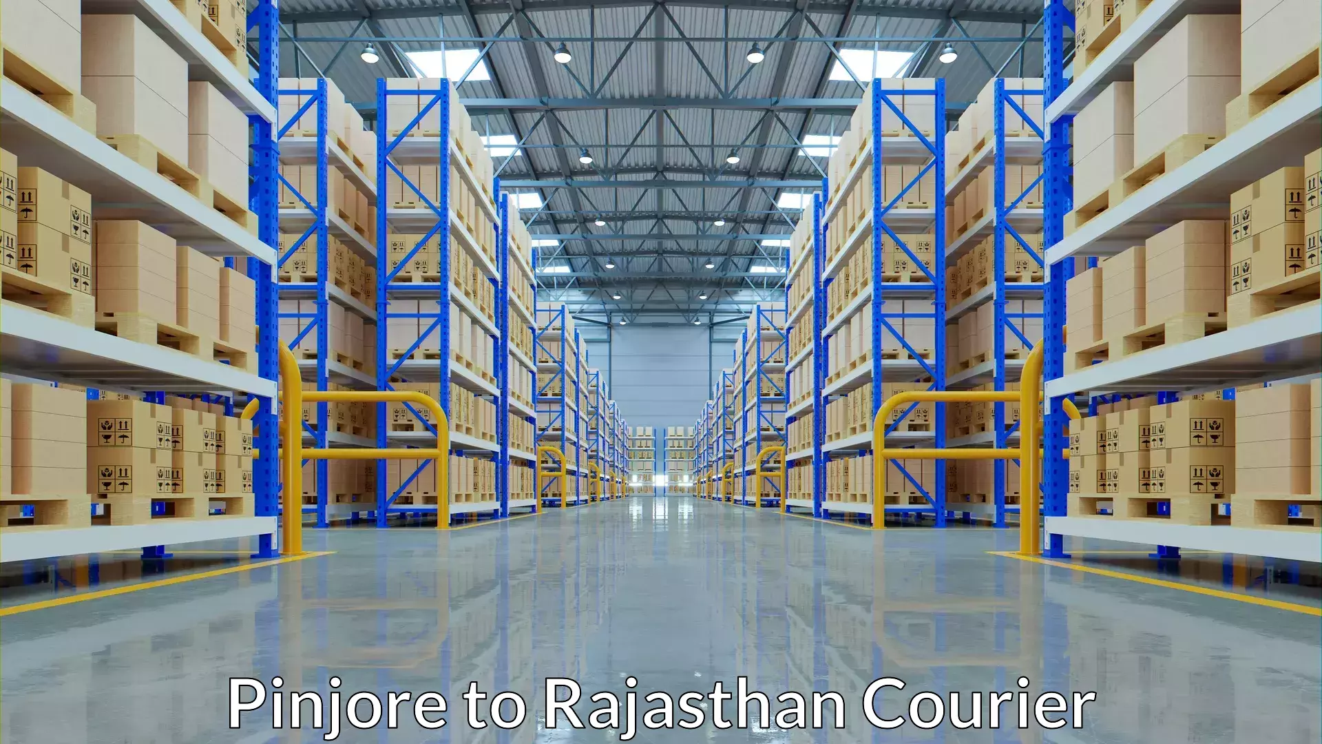 Custom courier solutions Pinjore to Rajasthan