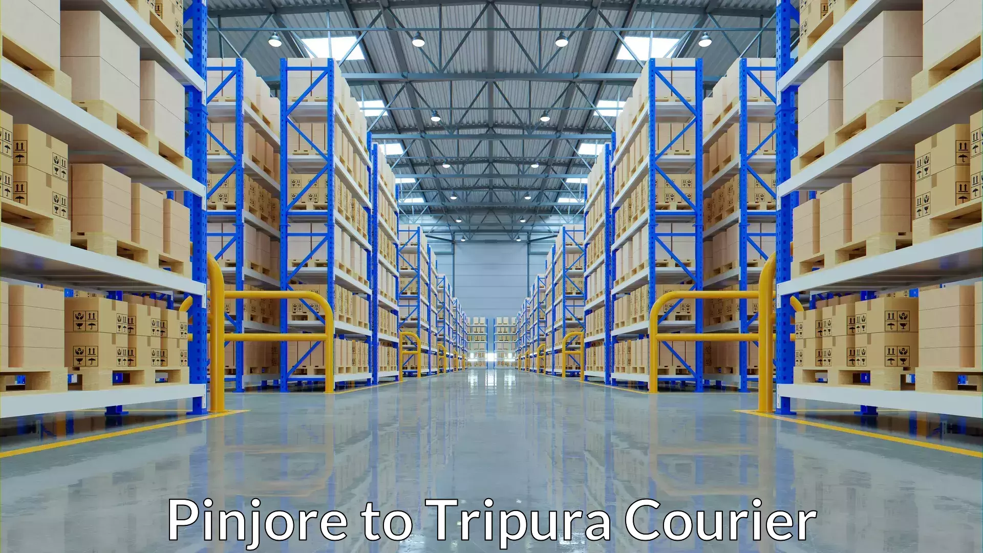 Personal courier services Pinjore to Tripura