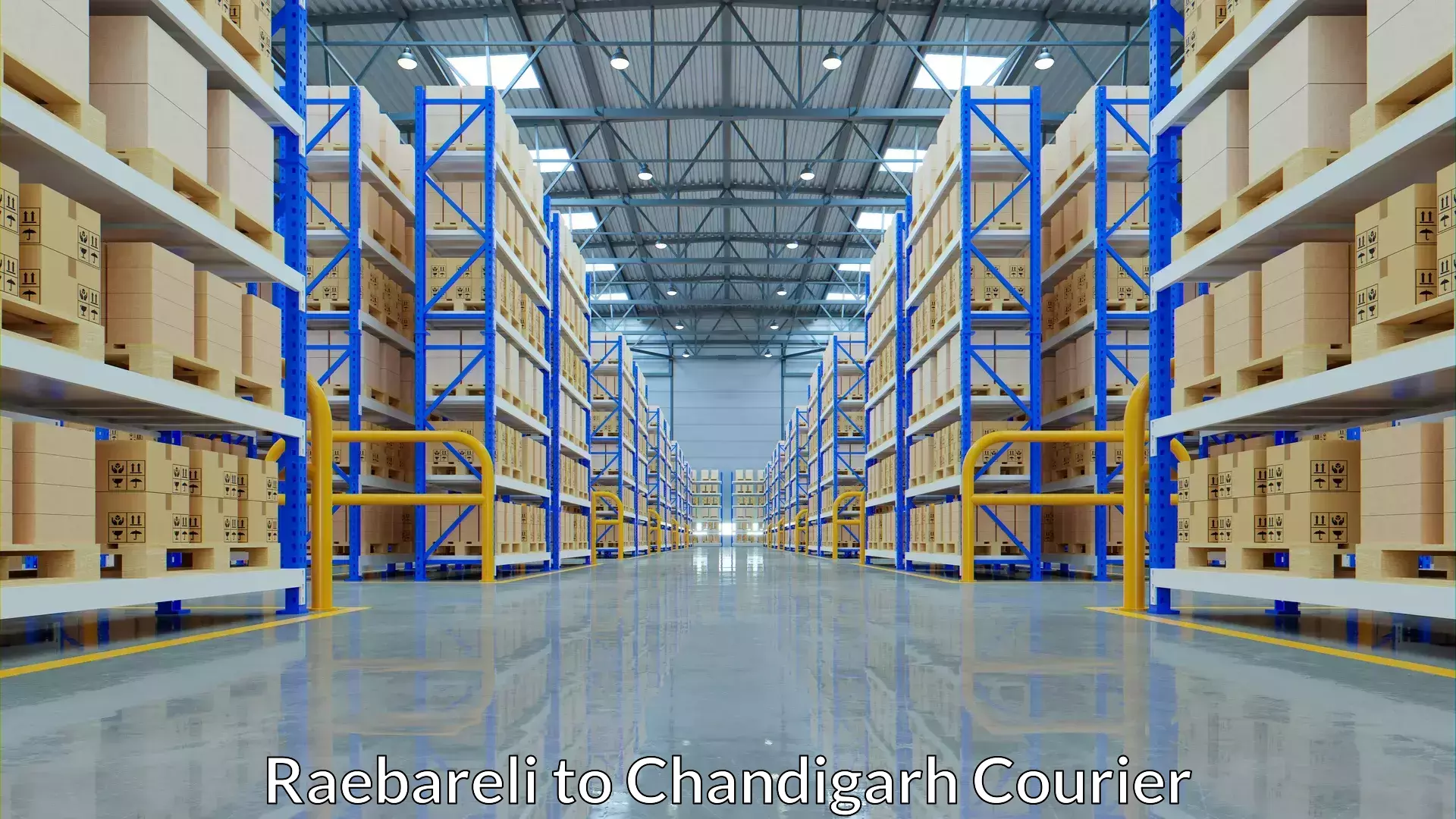 Custom logistics solutions Raebareli to Chandigarh