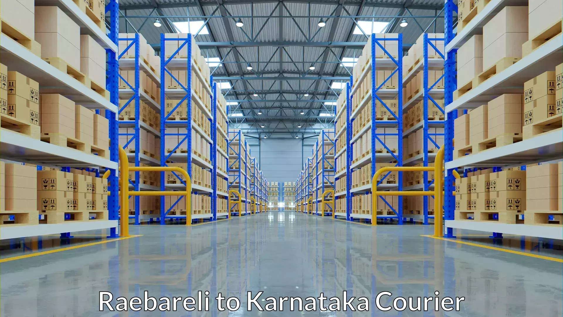 Courier app Raebareli to Kunigal