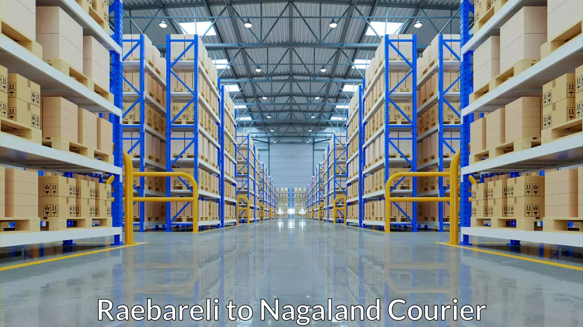 Customer-oriented courier services Raebareli to Nagaland