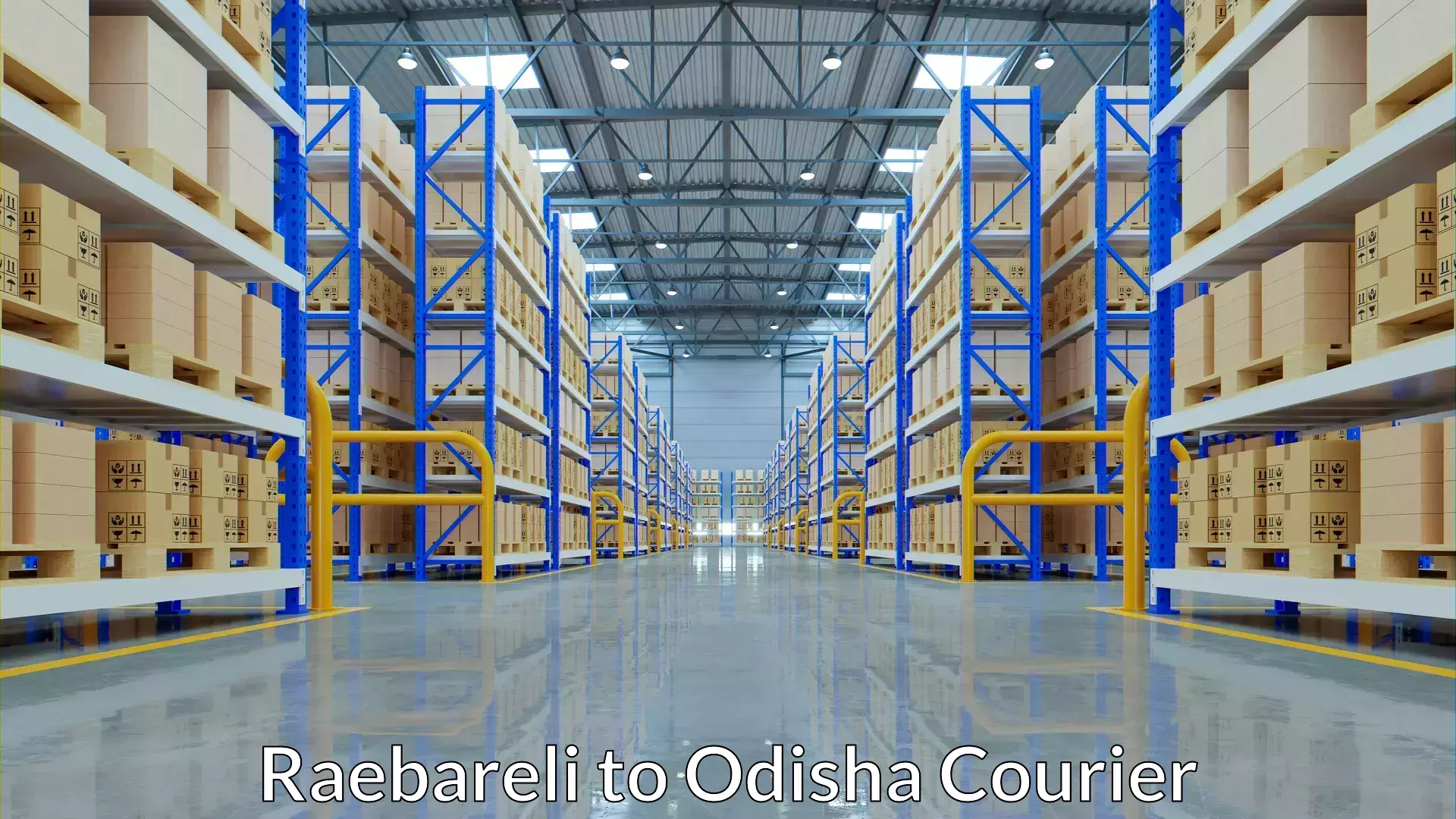 International logistics Raebareli to Binjharpur