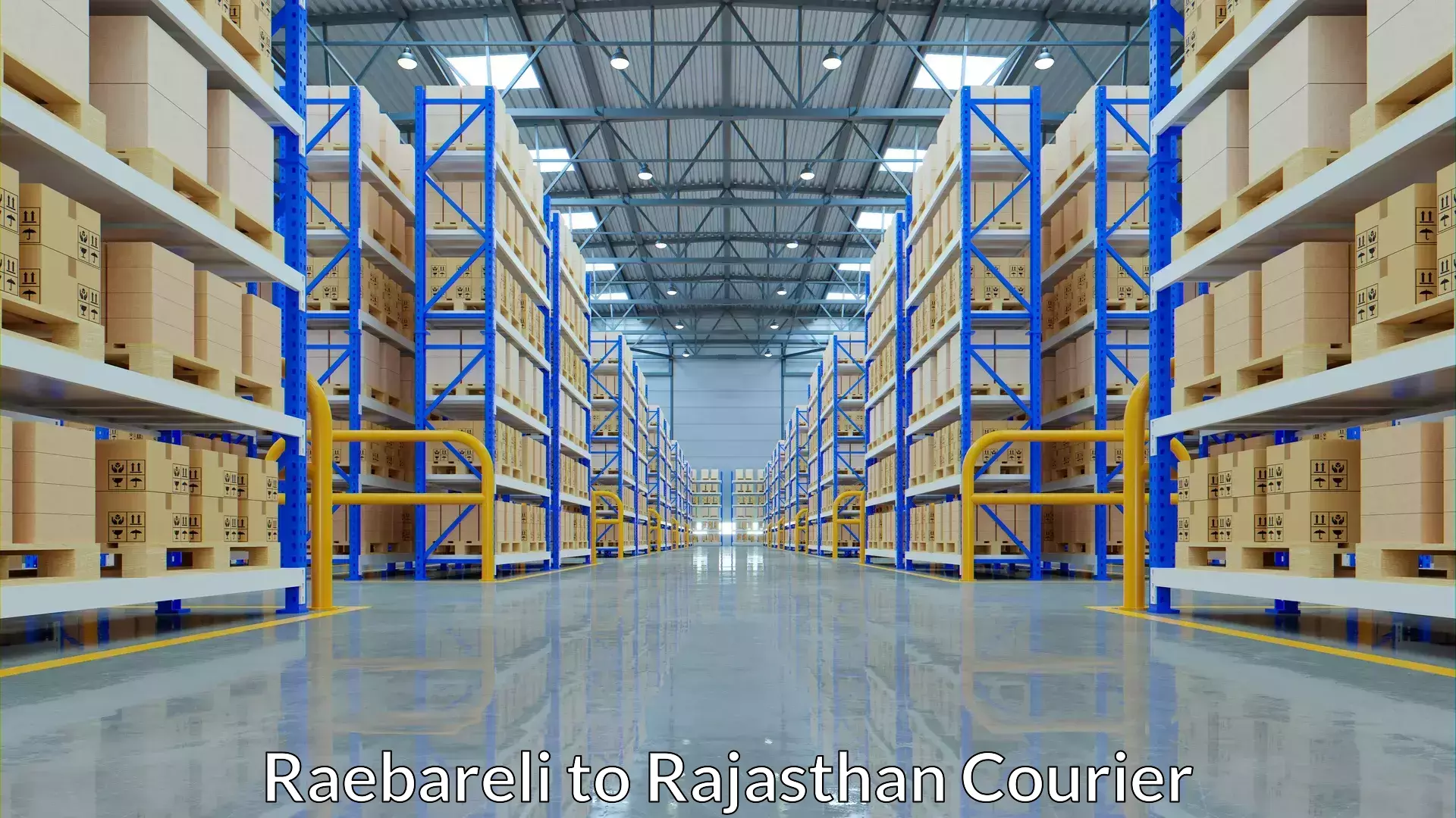 Multi-service courier options Raebareli to Khanpur