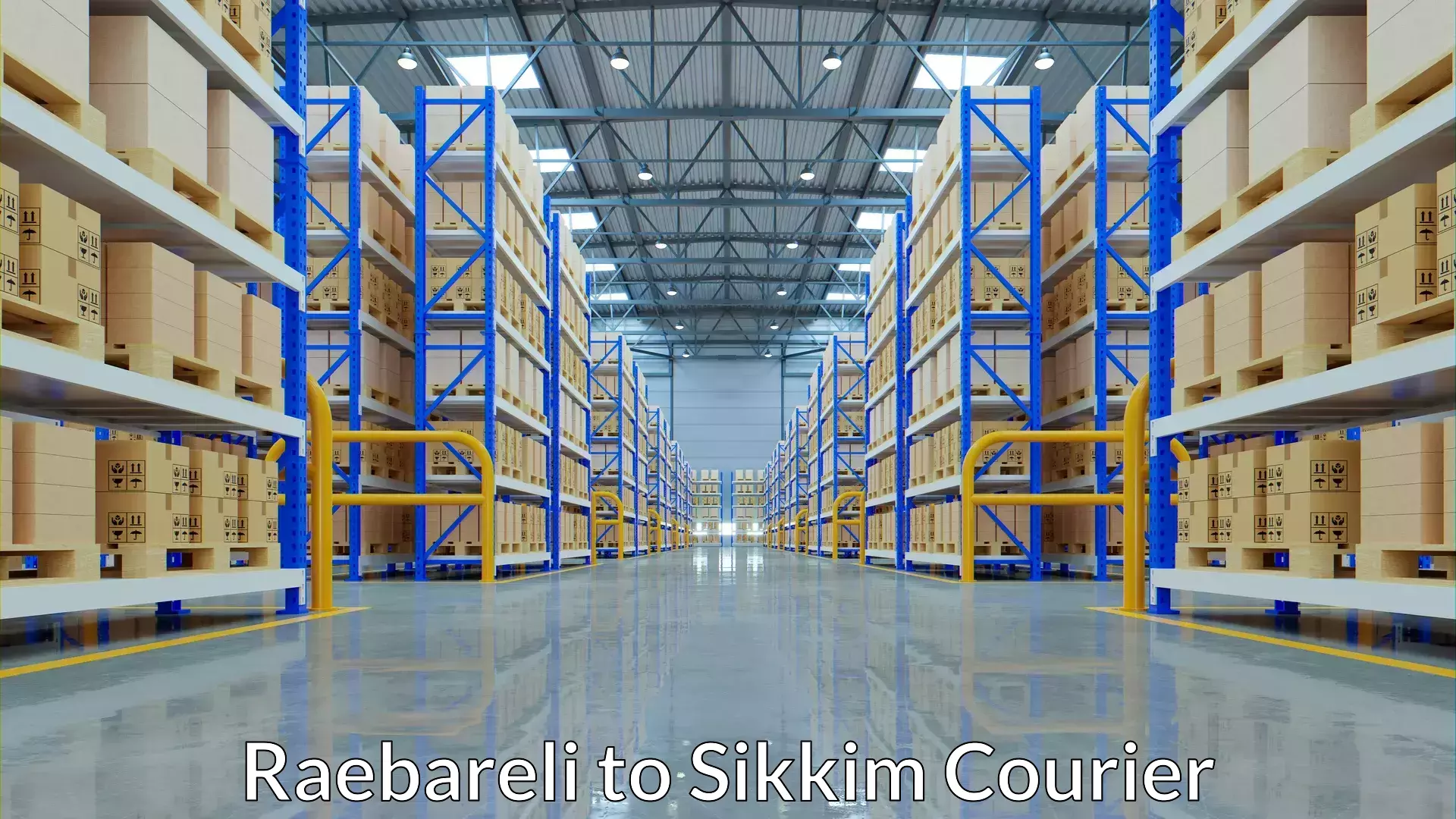 Efficient logistics management Raebareli to Sikkim