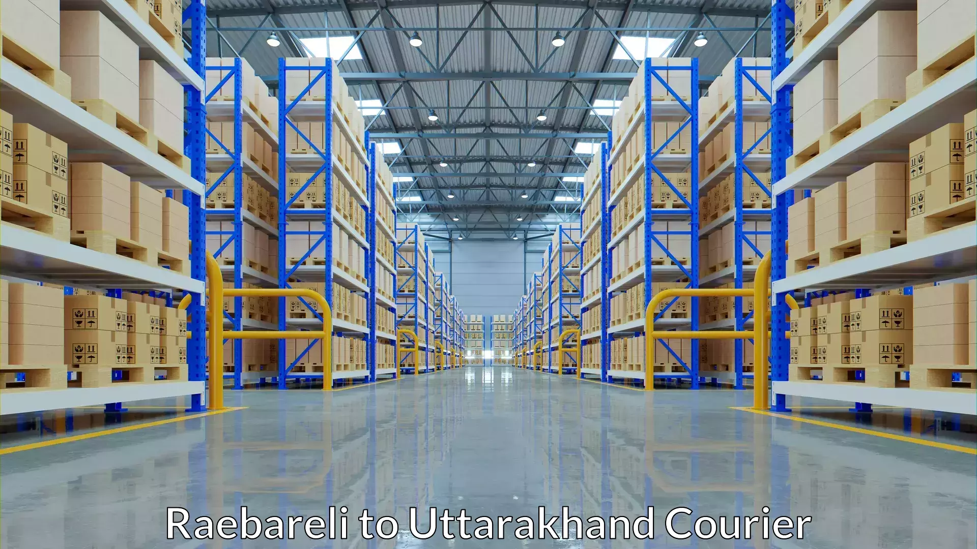 Smart parcel solutions Raebareli to Gumkhal