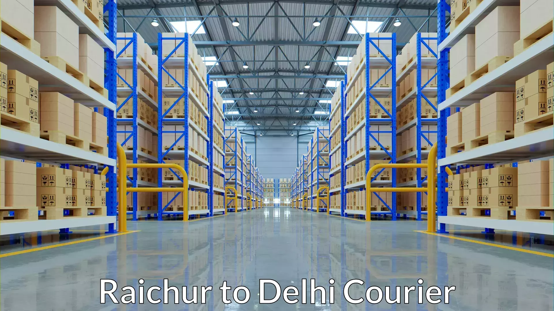 Local courier options in Raichur to Delhi