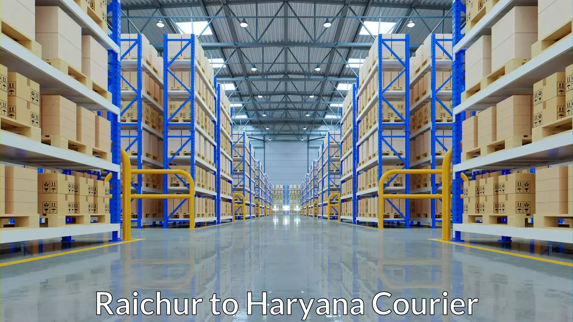 Quick parcel dispatch Raichur to Agroha