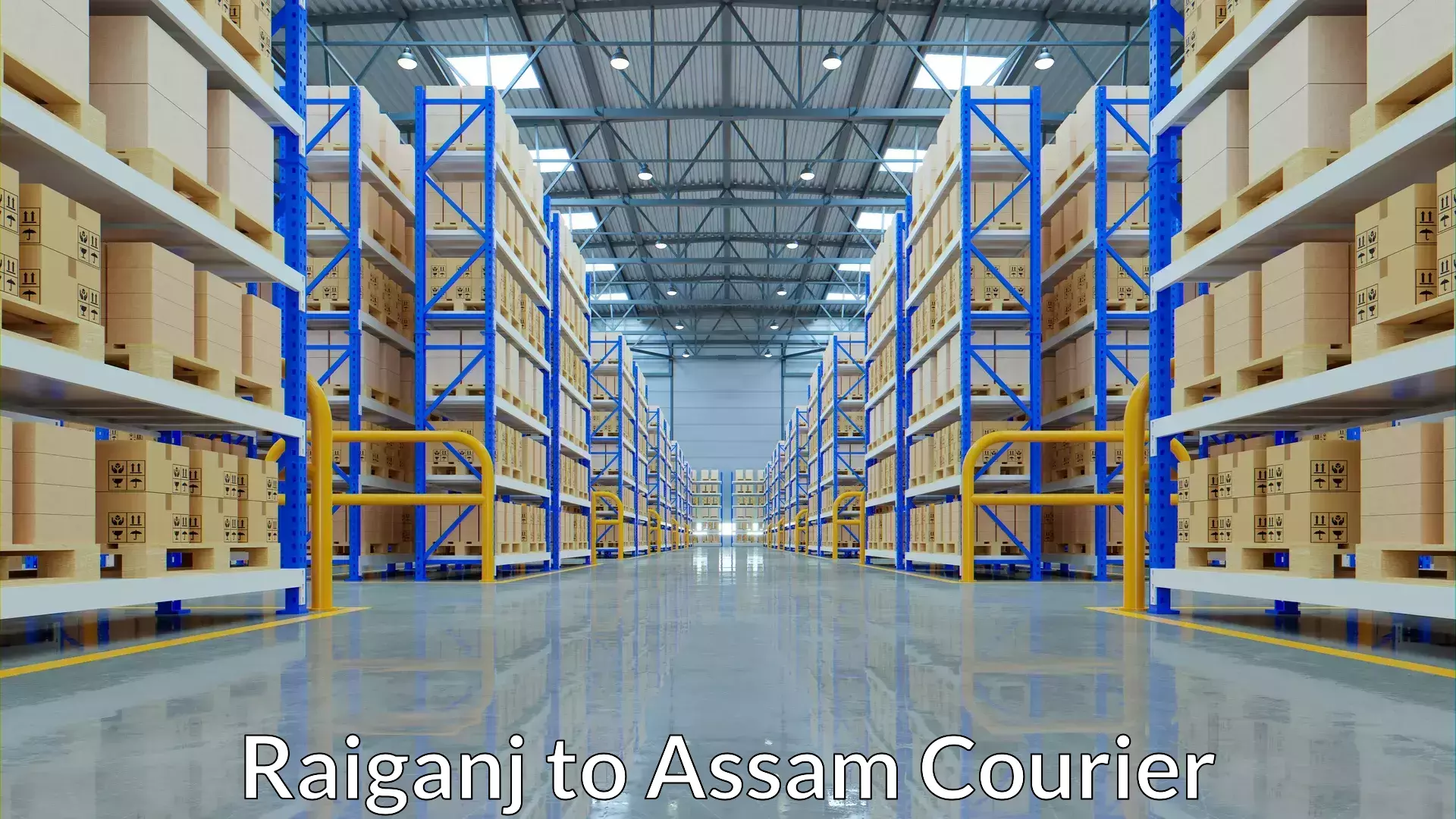 Package forwarding Raiganj to Fekamari