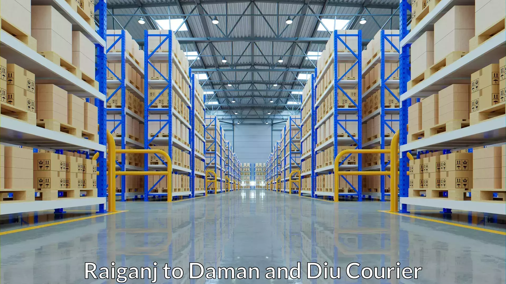 Fast parcel dispatch Raiganj to Daman and Diu