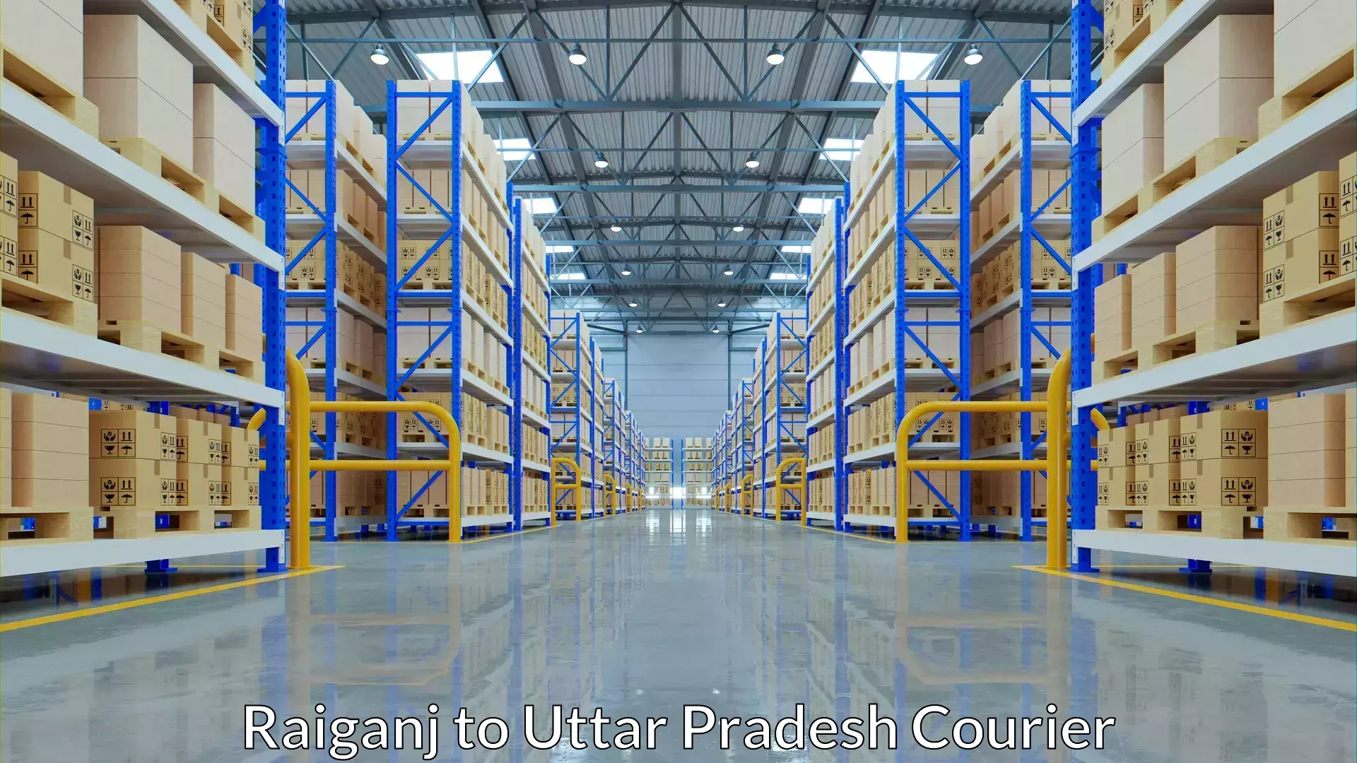 Express courier capabilities Raiganj to Uttar Pradesh