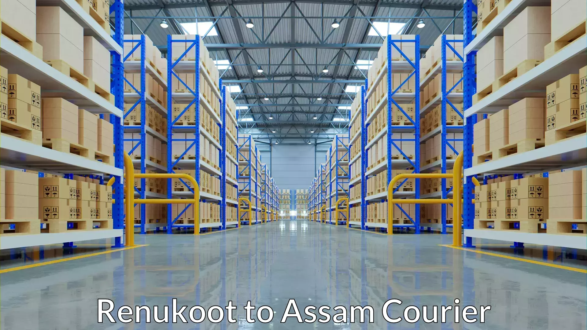 Cost-effective courier options Renukoot to Dhakuakhana