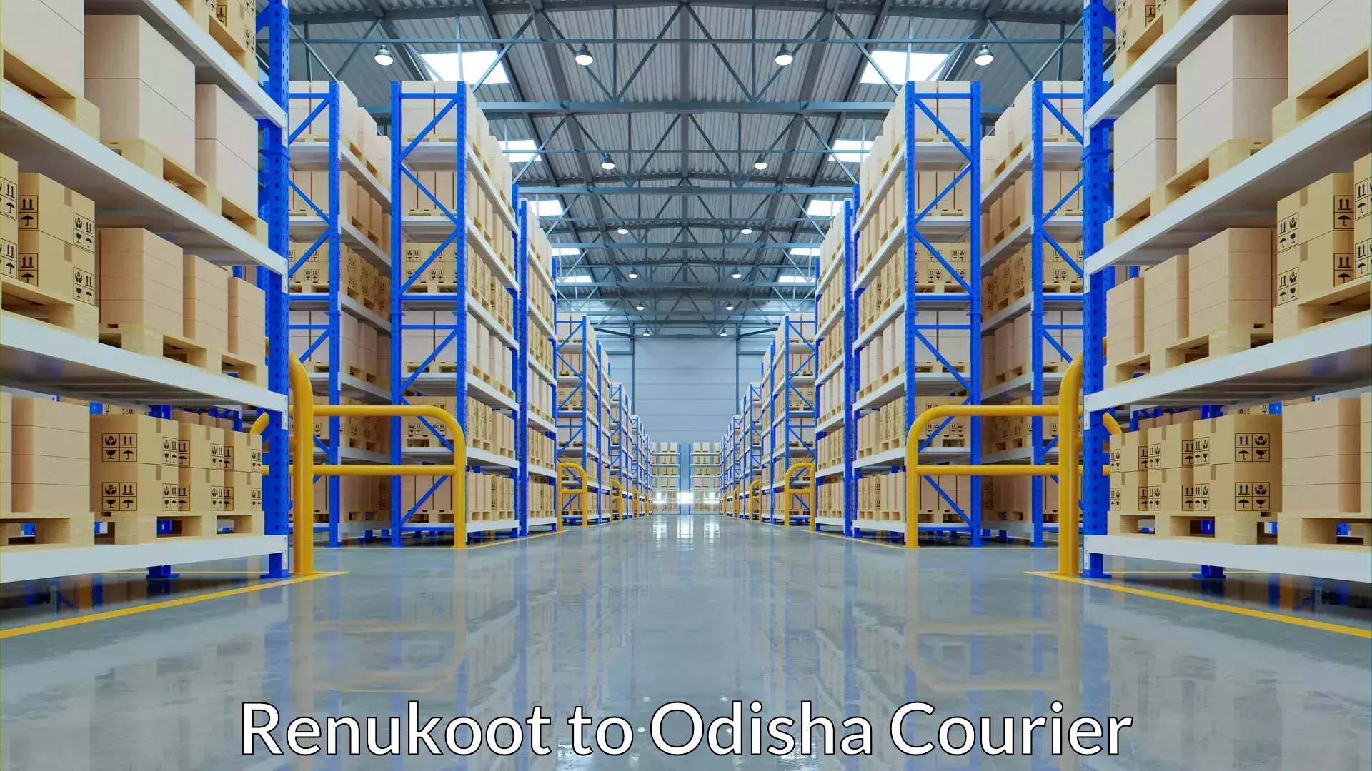 Heavyweight shipping Renukoot to Kotapad