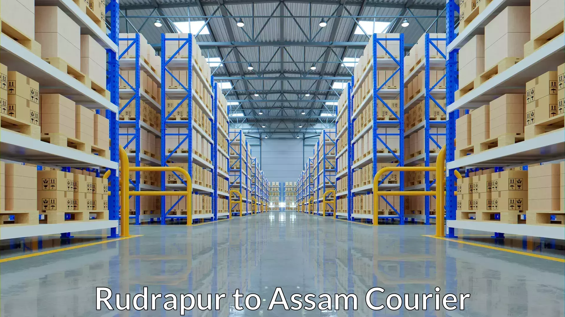 Dynamic parcel delivery Rudrapur to Dhing Town