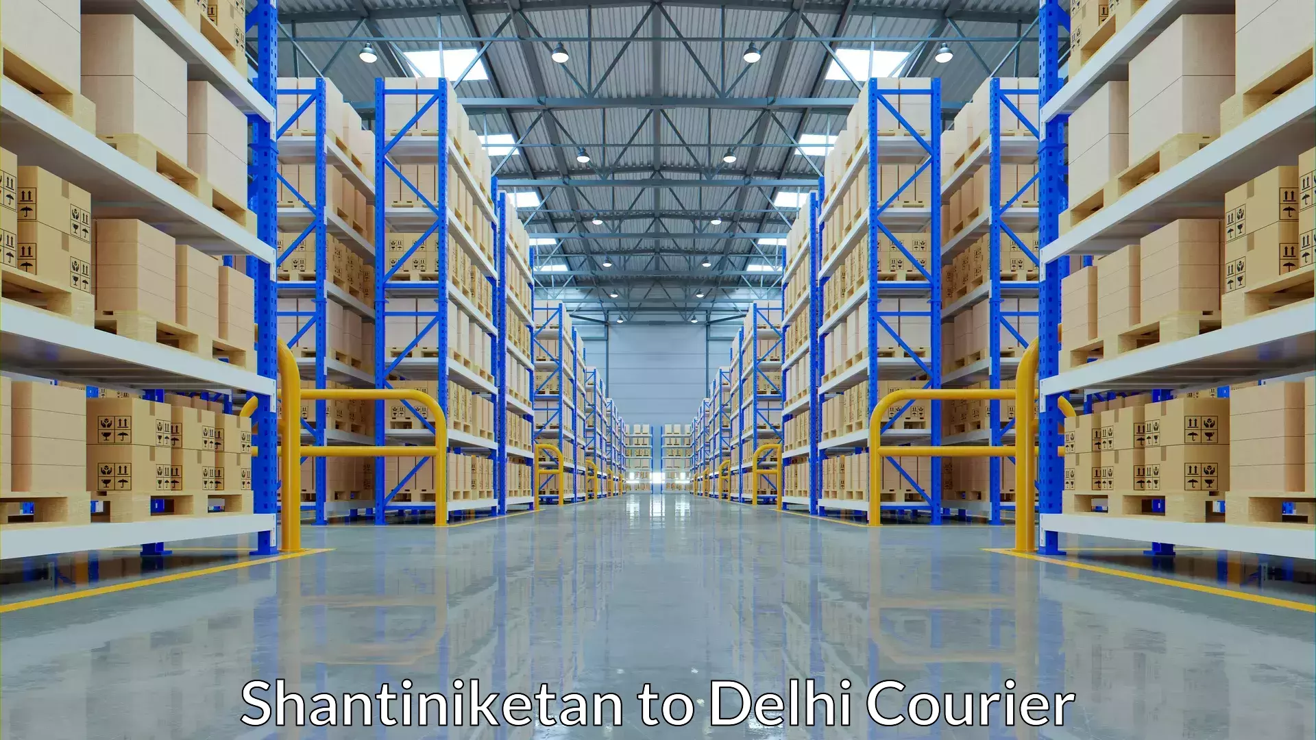 Multi-package shipping in Shantiniketan to Delhi