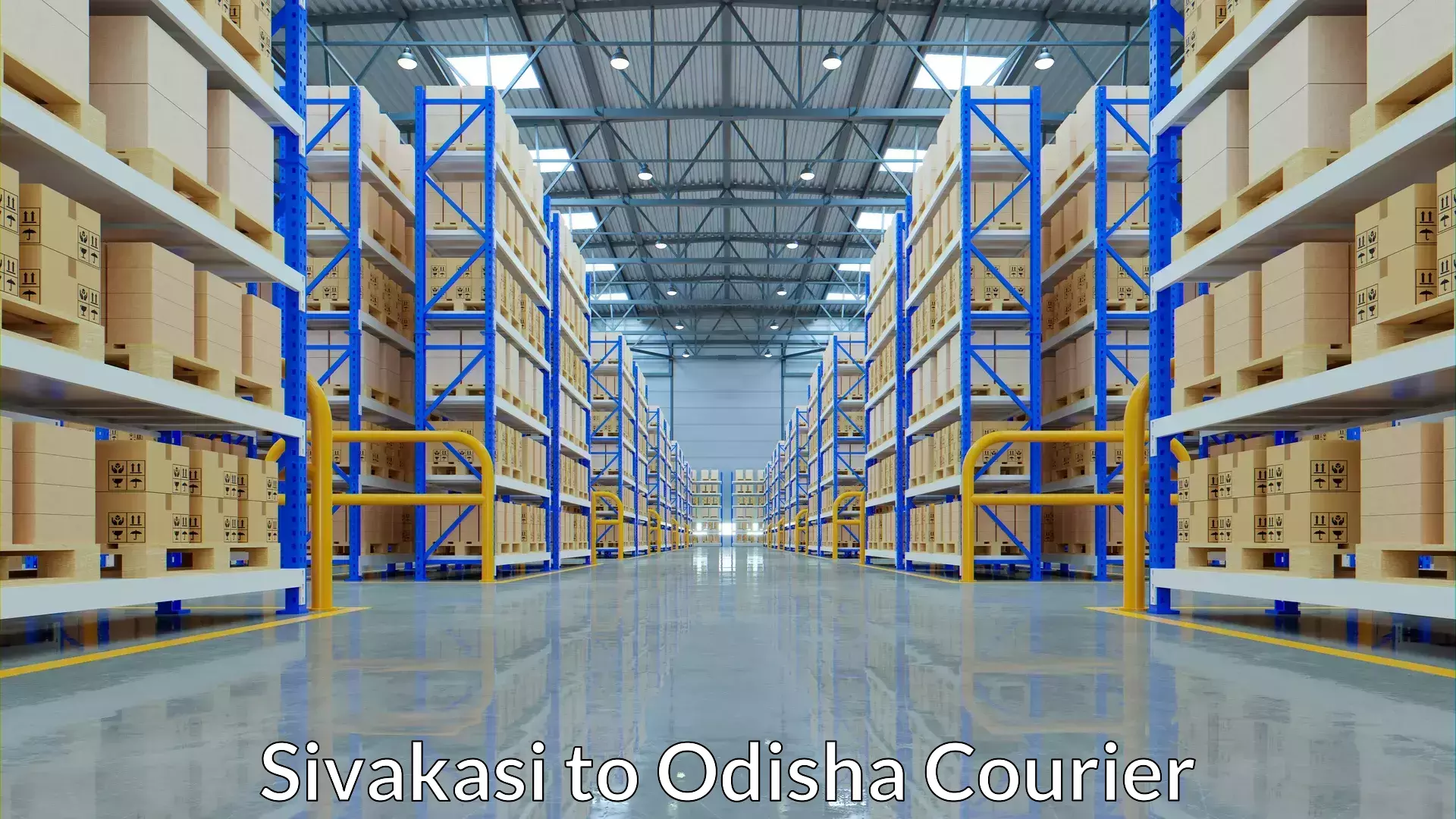 Multi-package shipping Sivakasi to Kendujhar