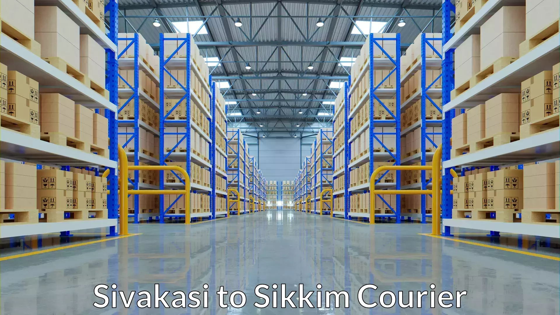 Secure shipping methods in Sivakasi to Ranipool