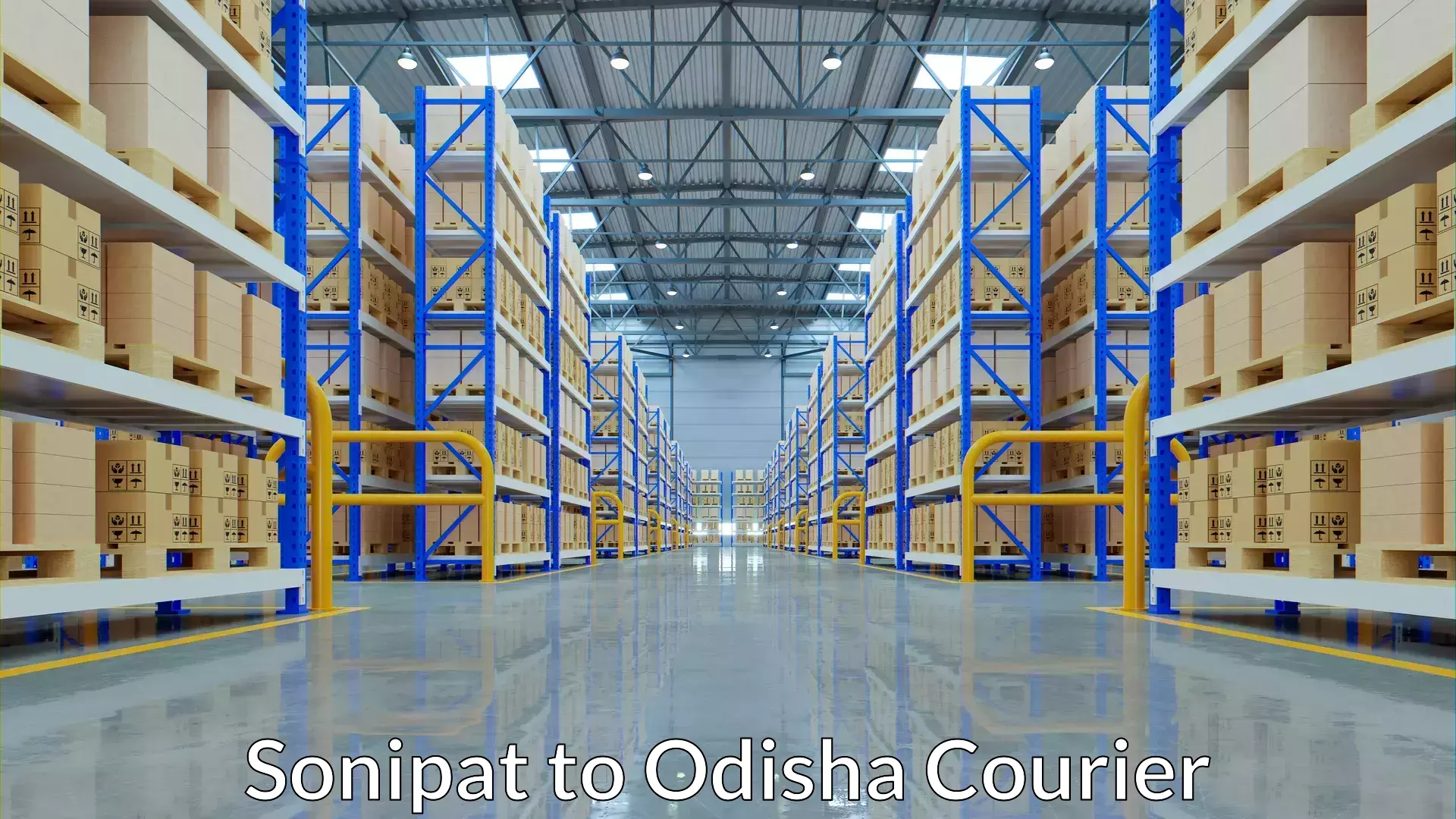 Courier service partnerships Sonipat to Odisha