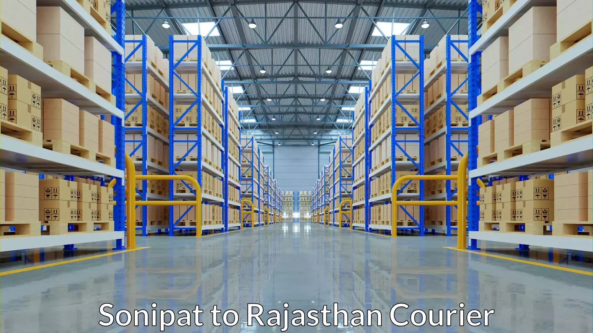 Efficient shipping platforms Sonipat to Bijainagar