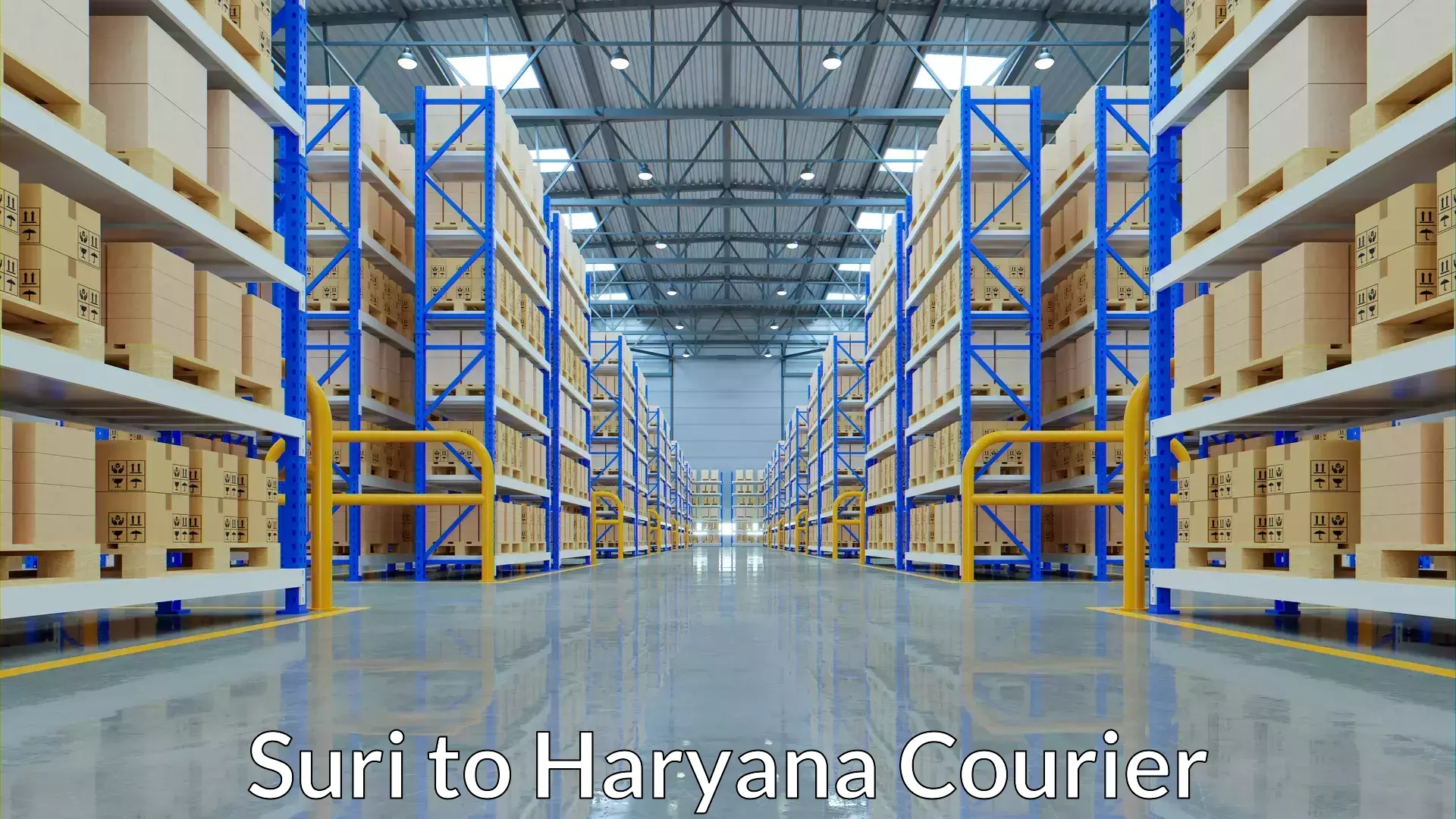 Customized delivery options Suri to Haryana