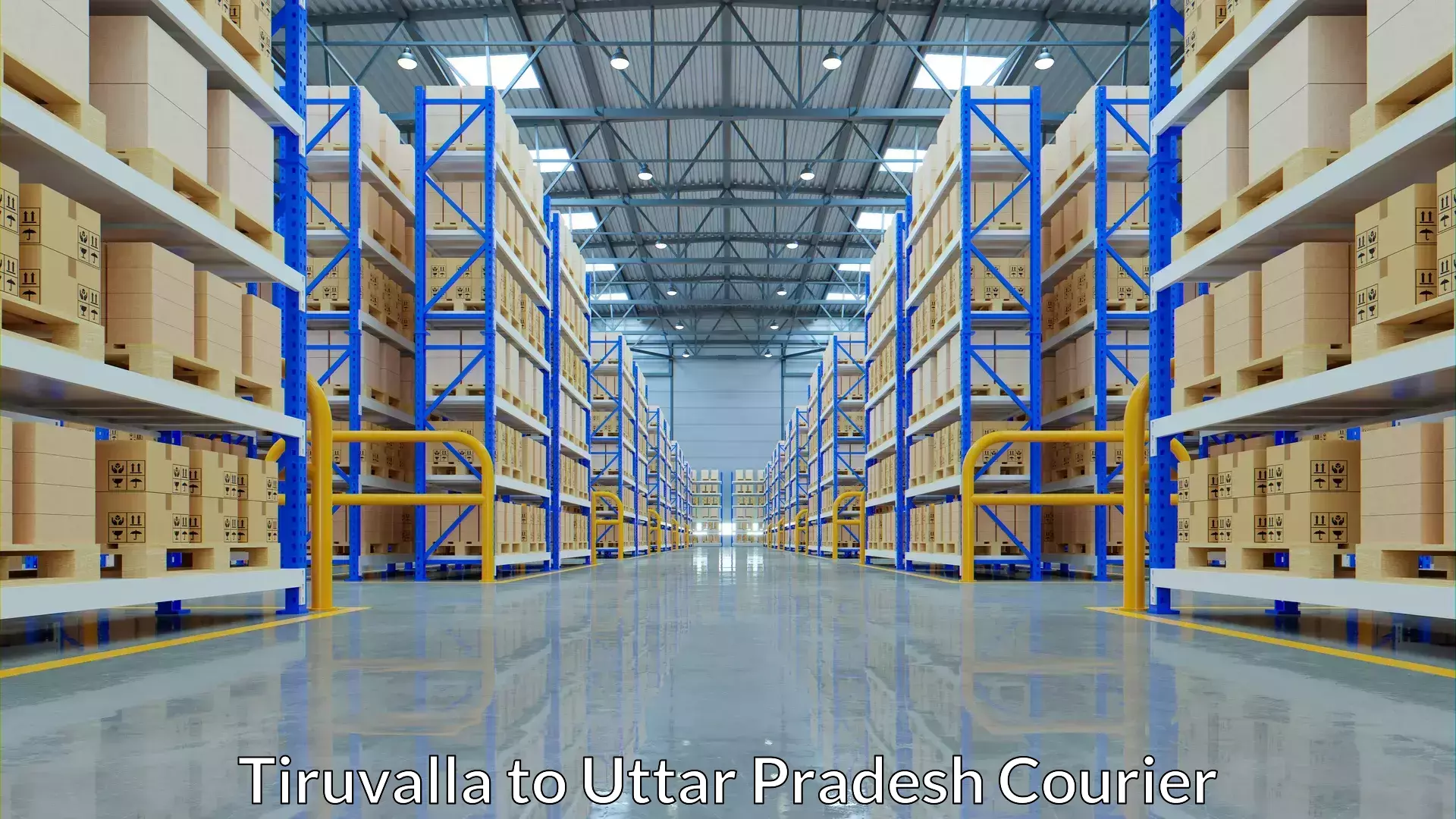 Individual parcel service Tiruvalla to Meerut