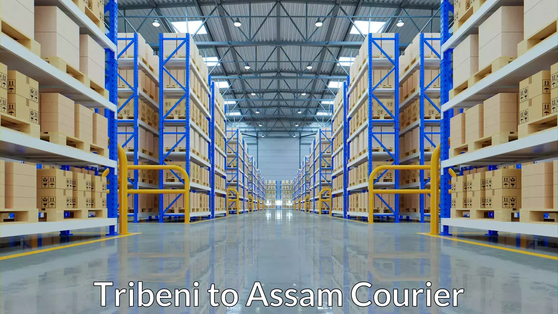 Efficient order fulfillment Tribeni to Duliajan