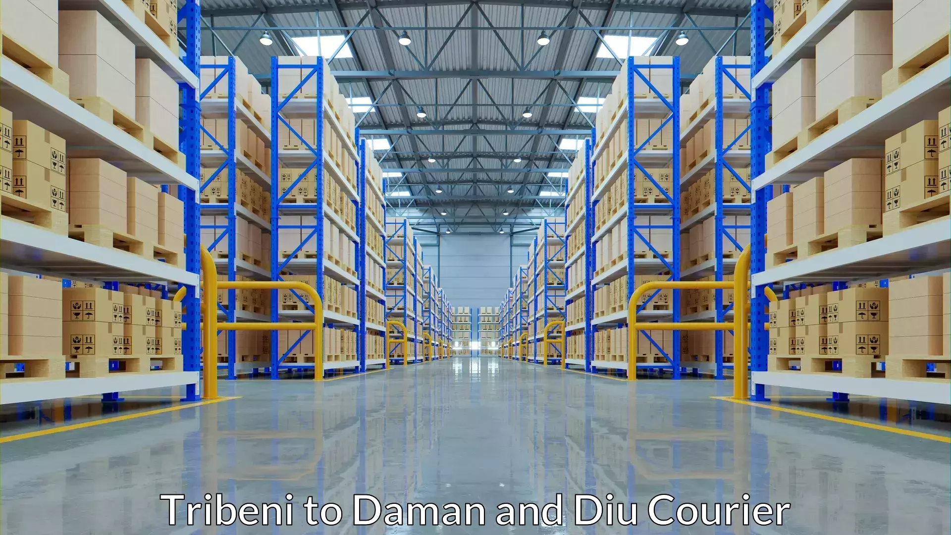 Versatile courier options Tribeni to Daman and Diu