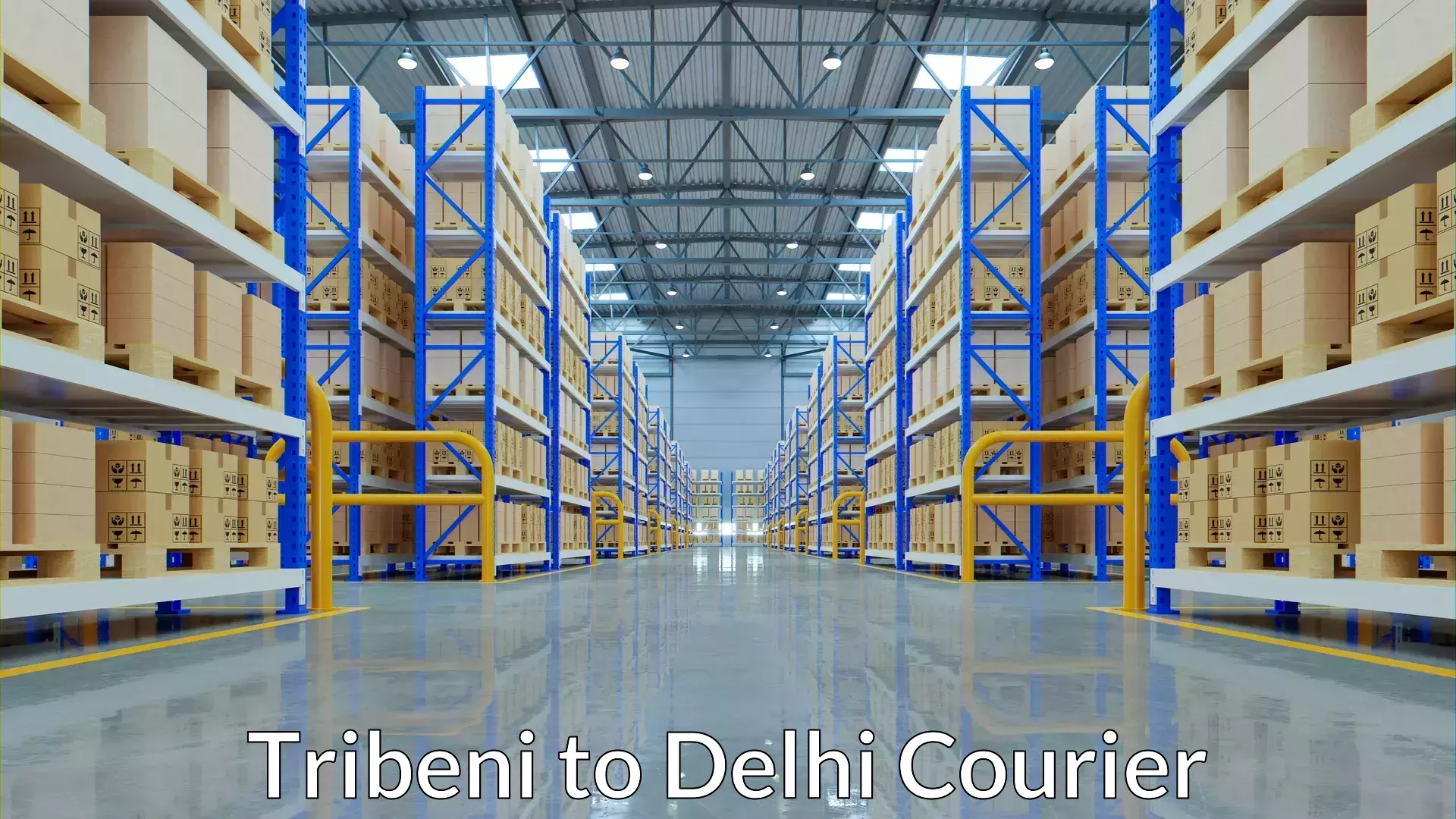 Quick booking process Tribeni to Delhi